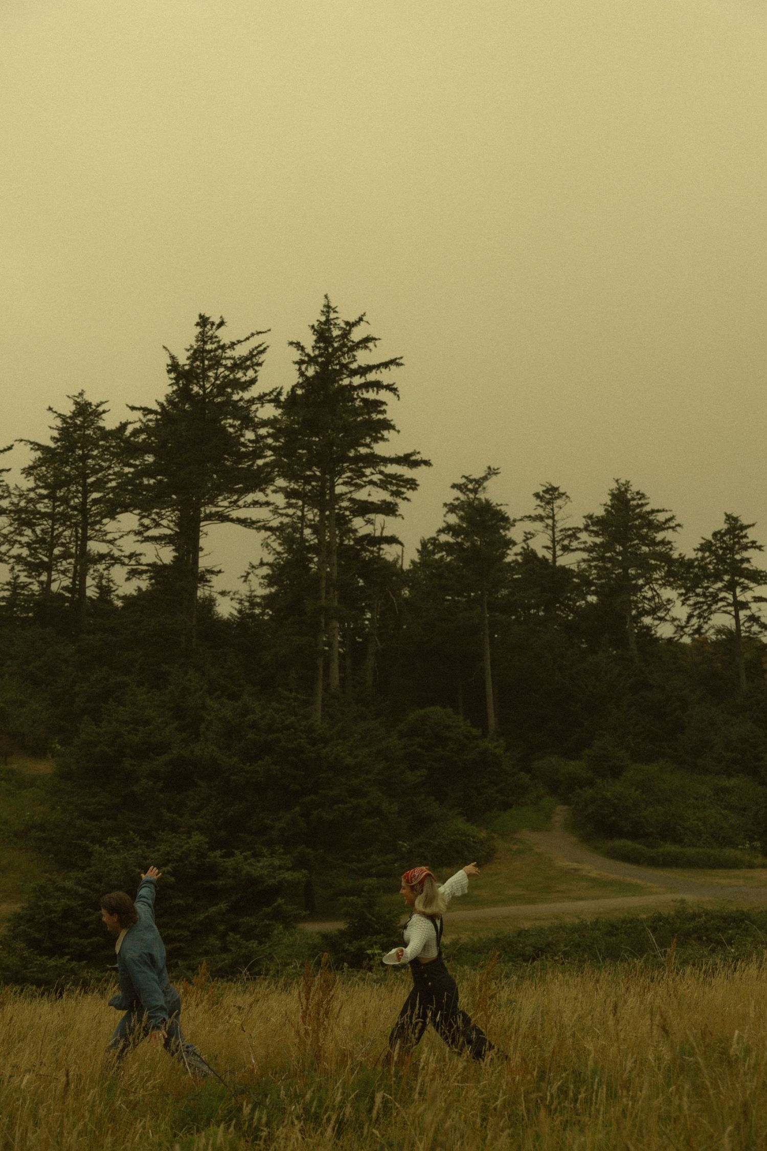 A couple walks playfully through a meadow with tall evergreen trees and a hazy yellow sky above.