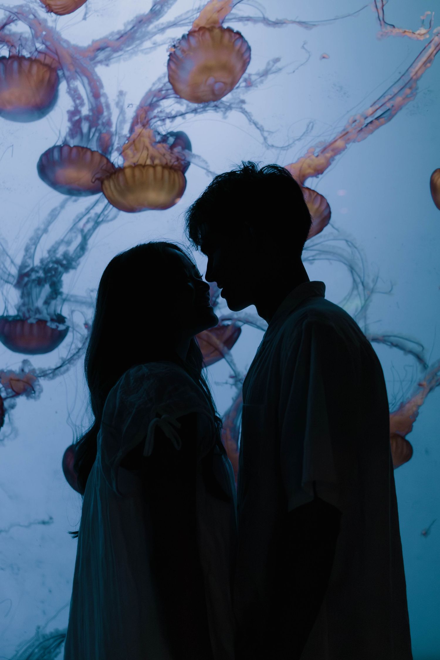Silhouettes observe orange jellyfish swimming in a blue-lit aquarium display.
