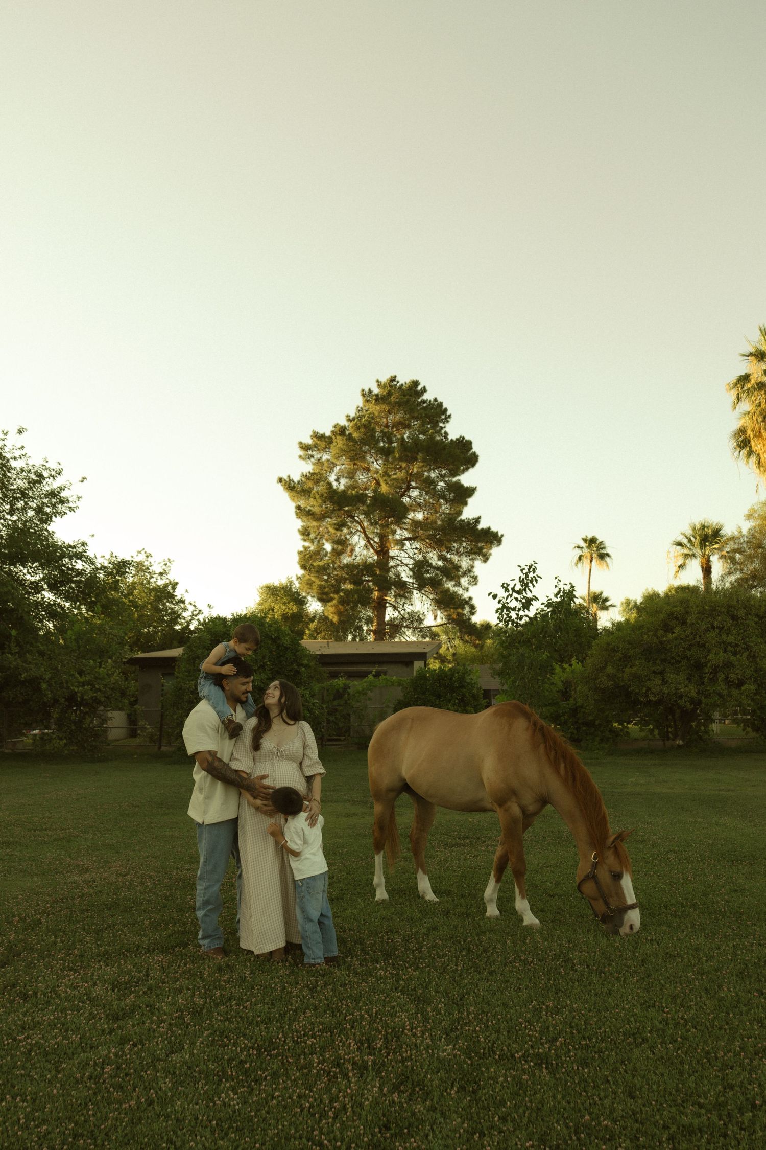 Family maternity photo with pregnant woman, man in cowboy hat, child, and brown horse on lush green grass at dusk.