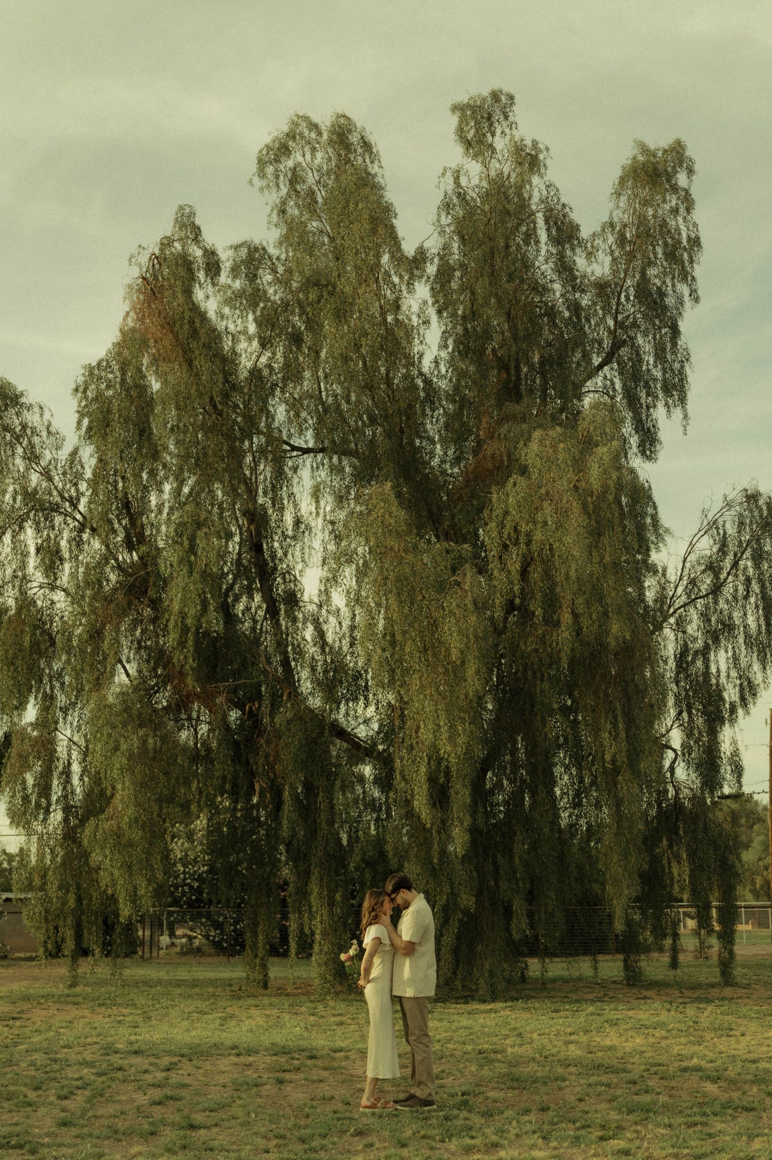 Couple embracing under a large weeping willow tree in a green field on a cloudy day.