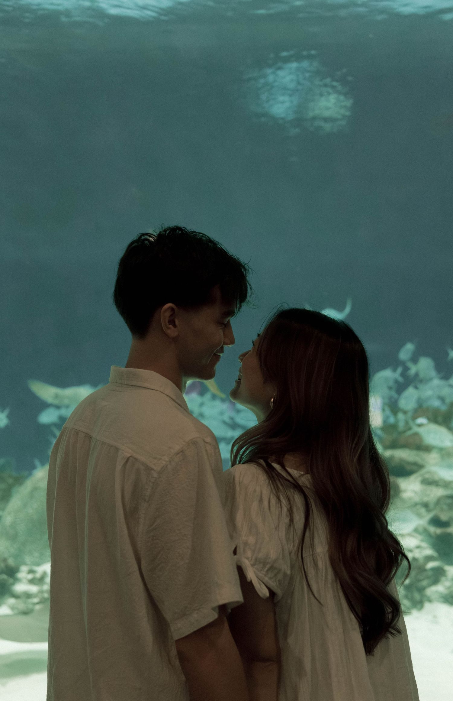 A couple stands in silhouette against an aquarium backdrop with turquoise water and marine life.