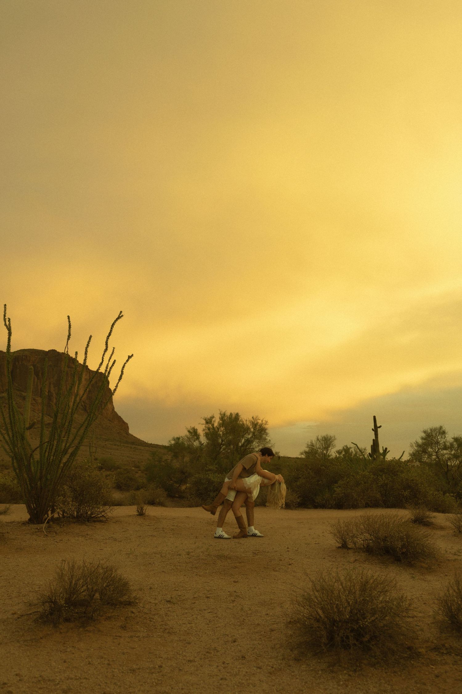 Couple embracing in vast desert landscape with ocotillo cactus under golden stormy sky.
