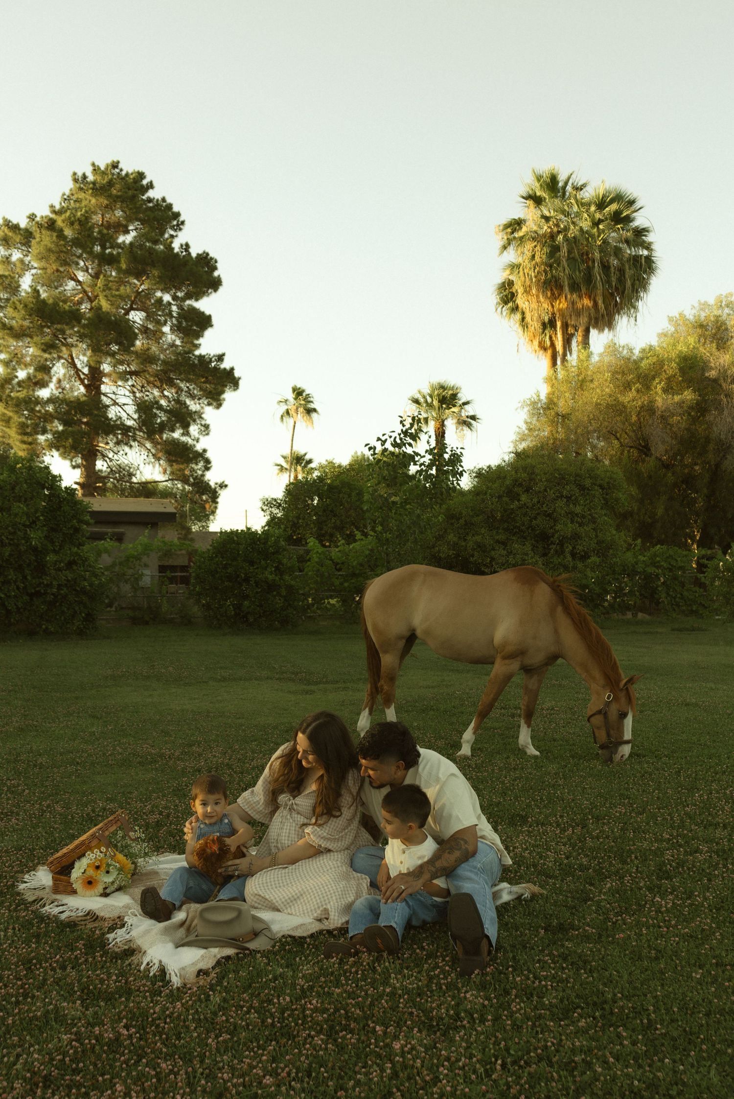 Family maternity picnic on grass with a grazing horse and palm trees in warm golden hour light.