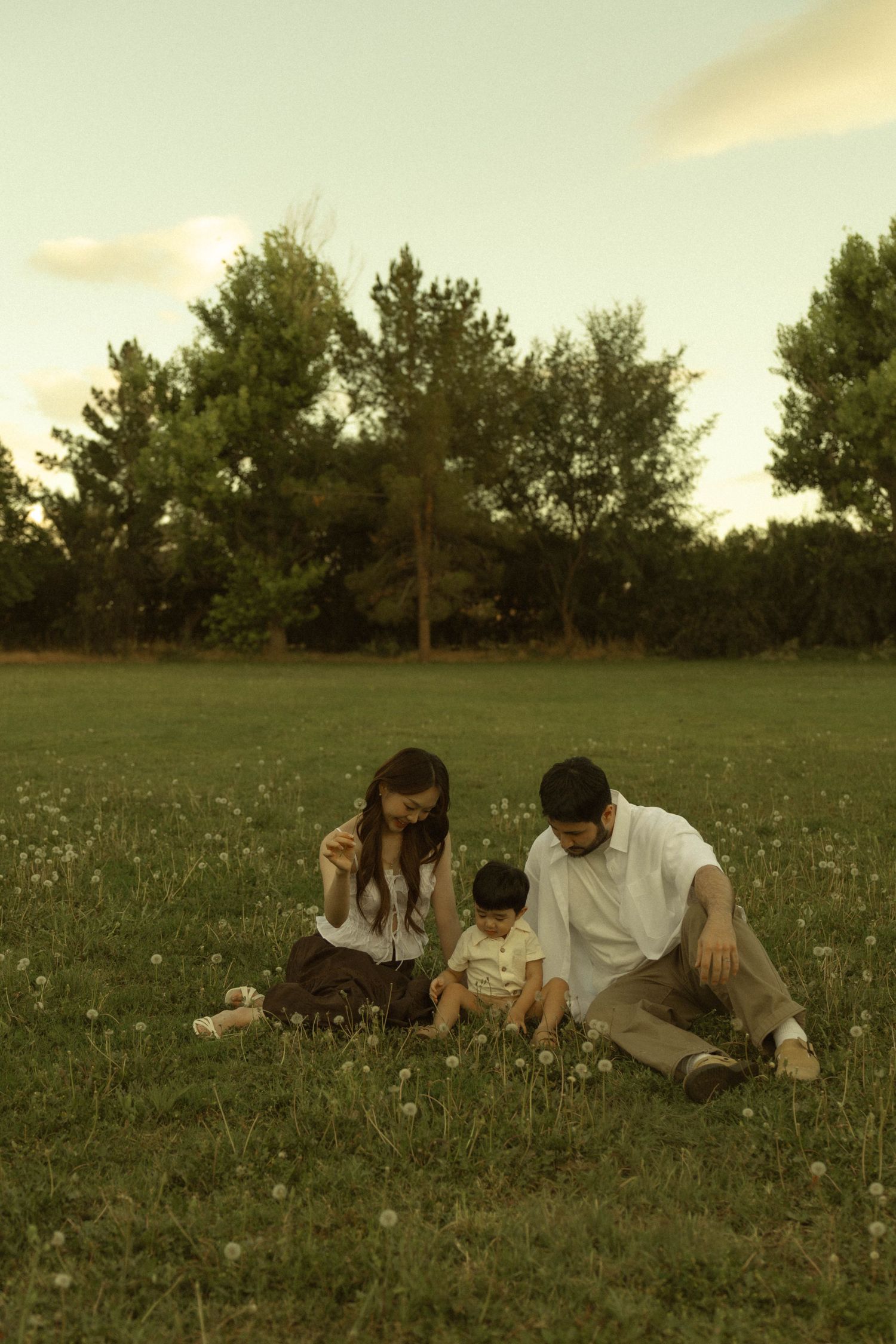 A family of three sits together in a field of dandelions at golden hour, enjoying a peaceful outdoor moment.