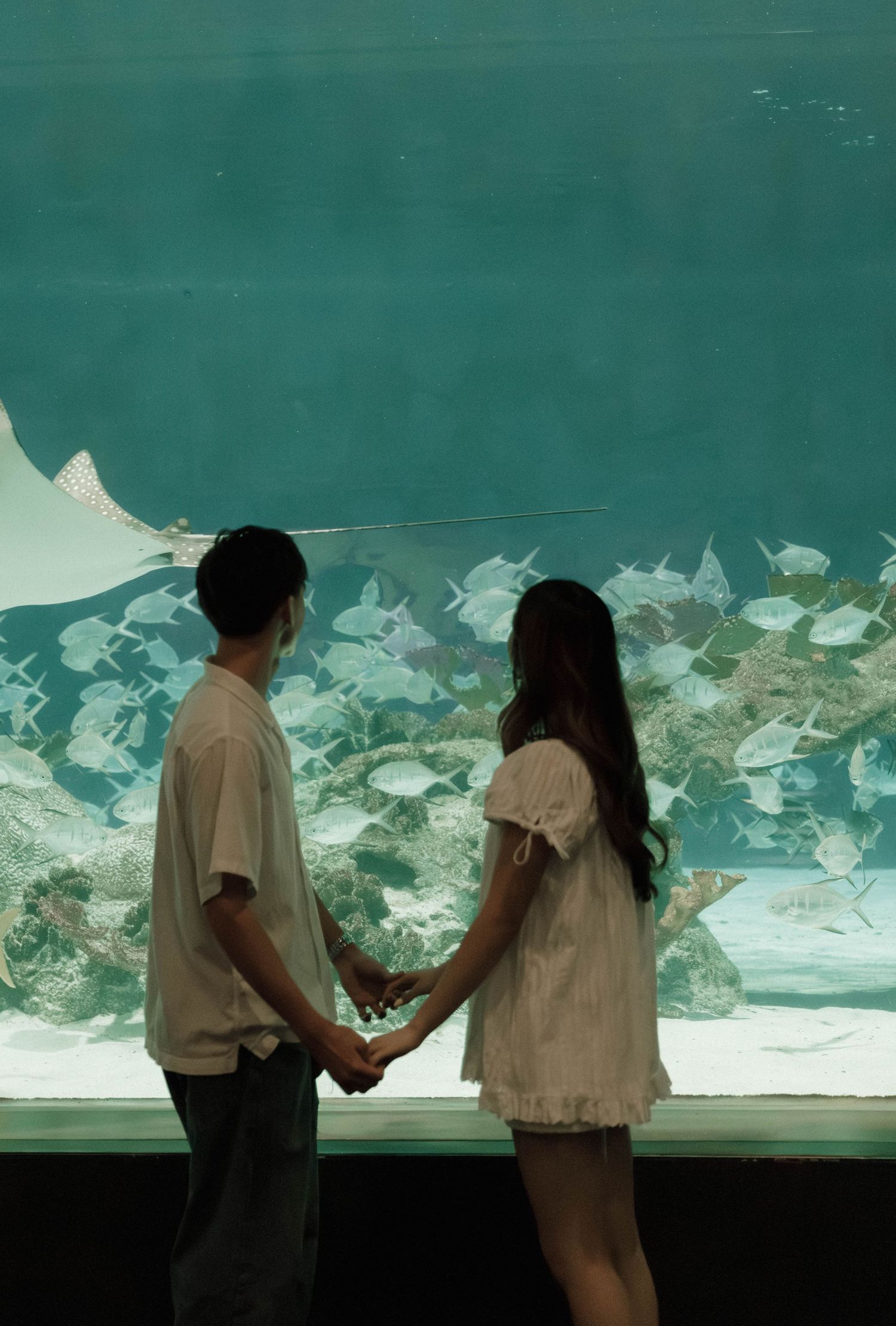 Two silhouettes stand together viewing fish swimming in a large aquarium display.