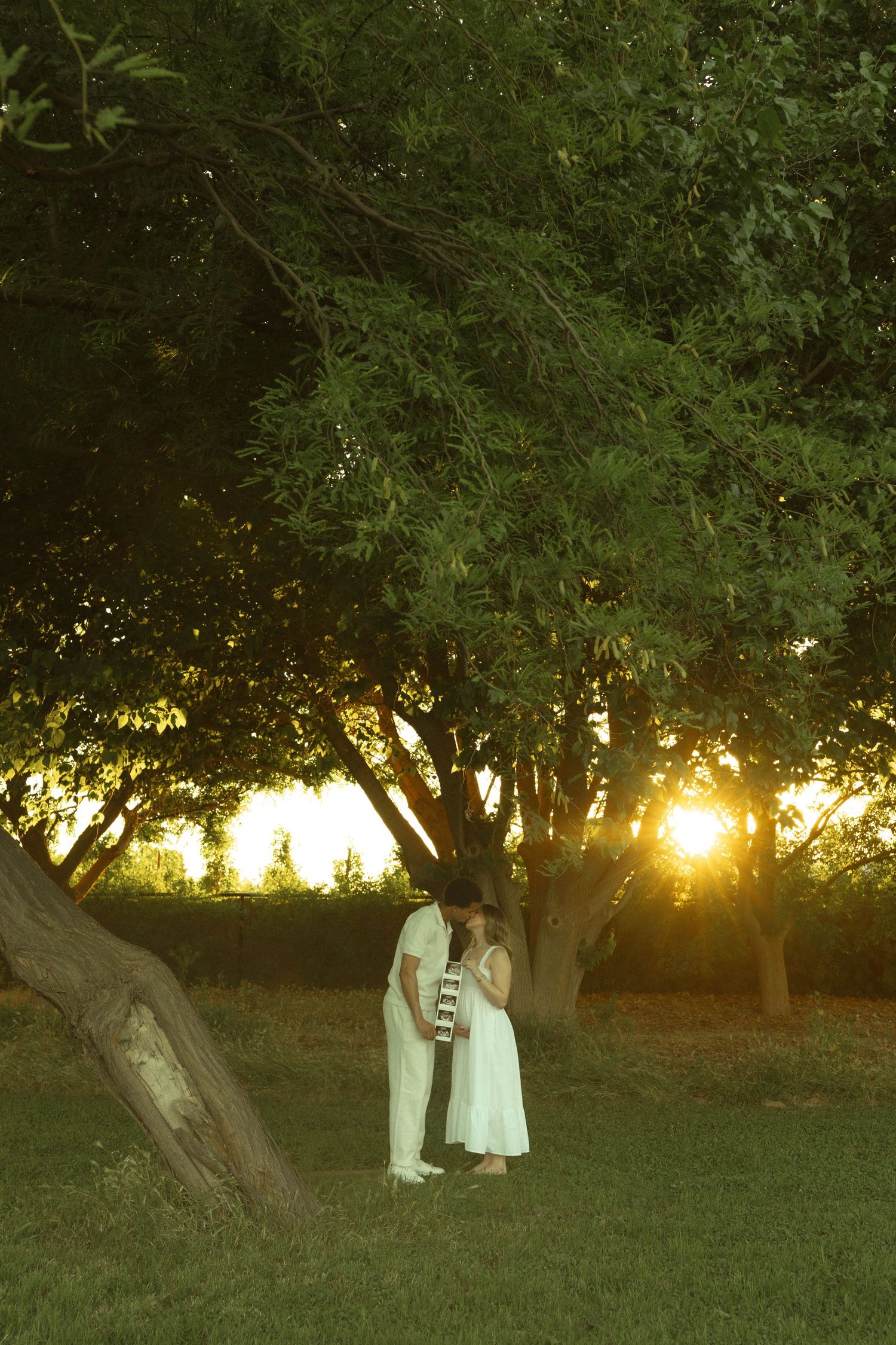 Couple embracing under a large tree at golden sunset in a lush green park setting.