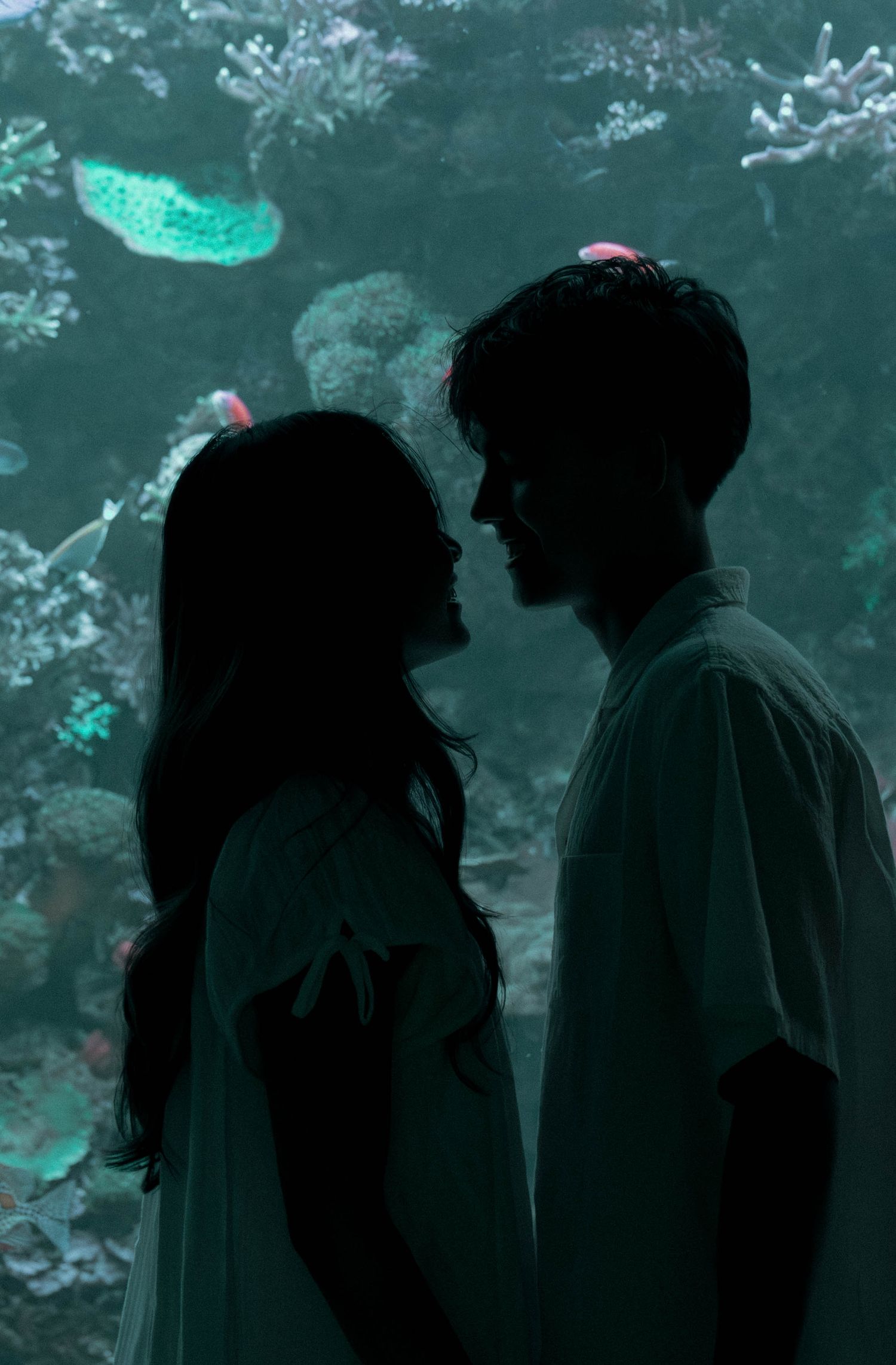 Silhouetted couple sharing intimate moments in a series of romantic poses against a moody turquoise background.