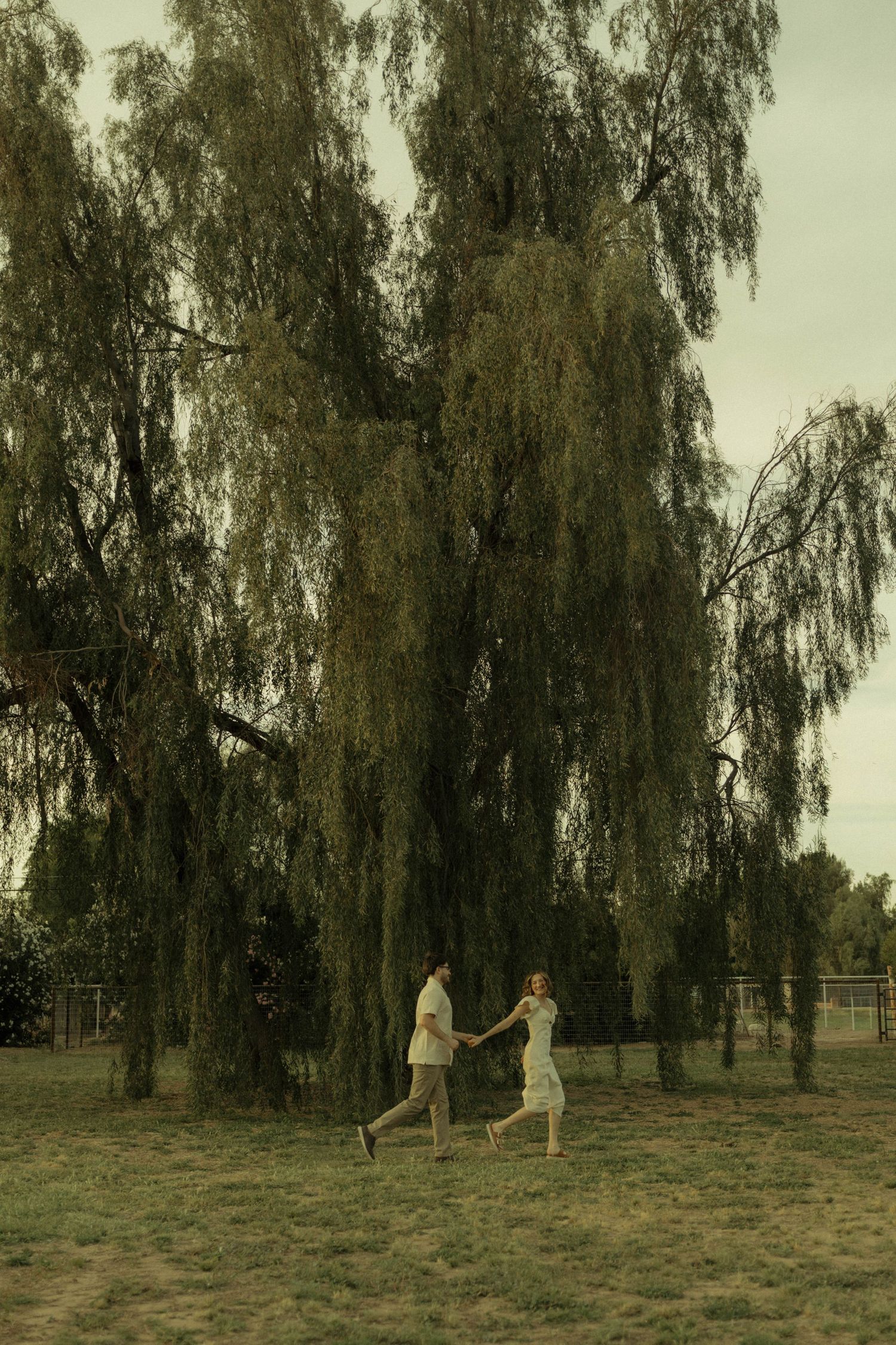 Couple holding hands running through a lush green weeping willow tree park on an overcast day.