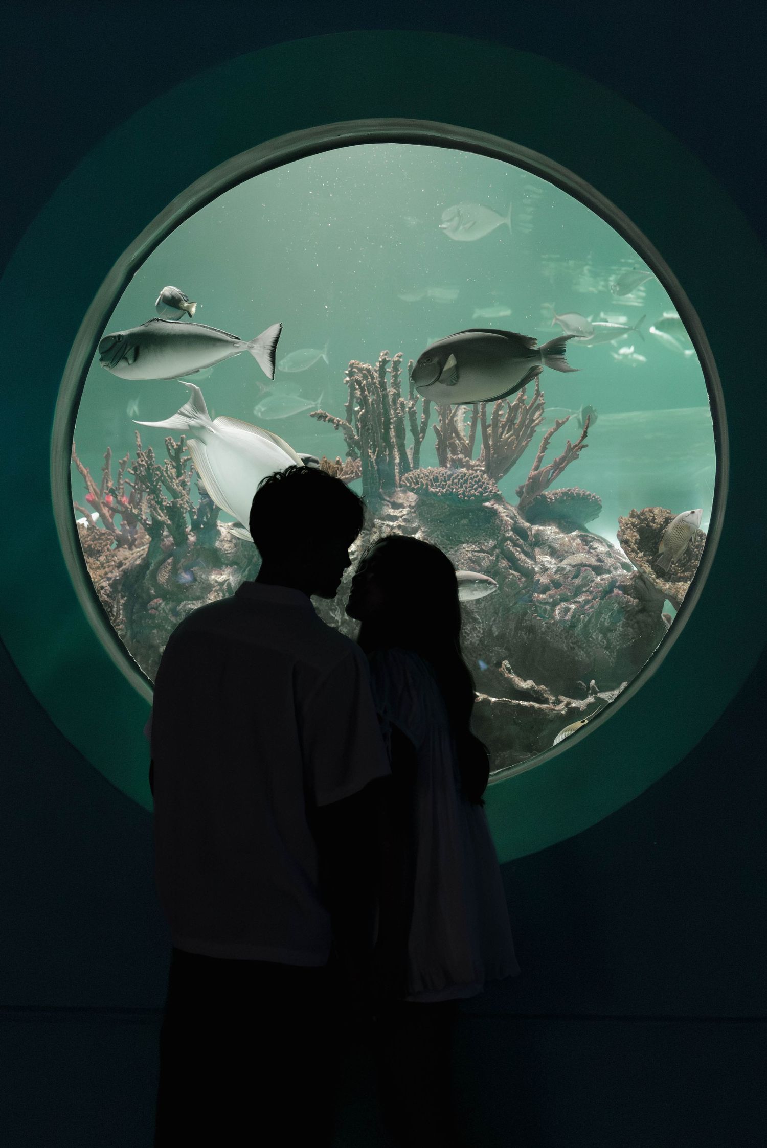 Silhouettes of visitors viewing marine life through large oval aquarium windows with turquoise lighting.