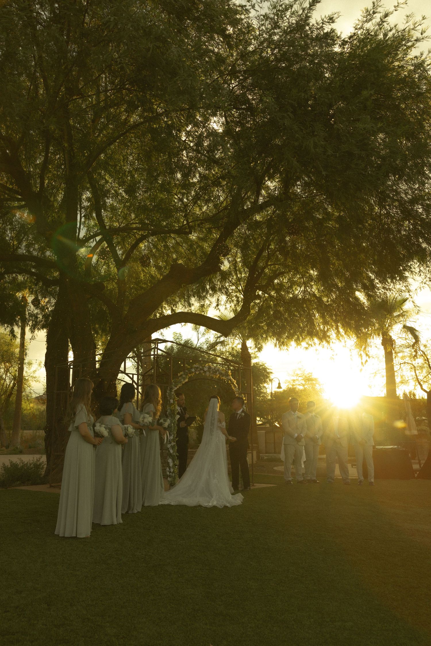 Outdoor wedding ceremony at golden sunset under large trees with bridesmaids in sage green gowns and bridal party gathered at floral arch.