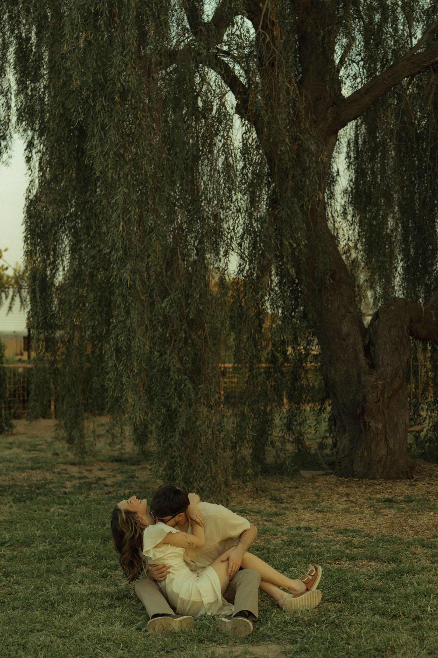 Couple sharing a romantic kiss under a weeping willow tree on green grass at dusk.