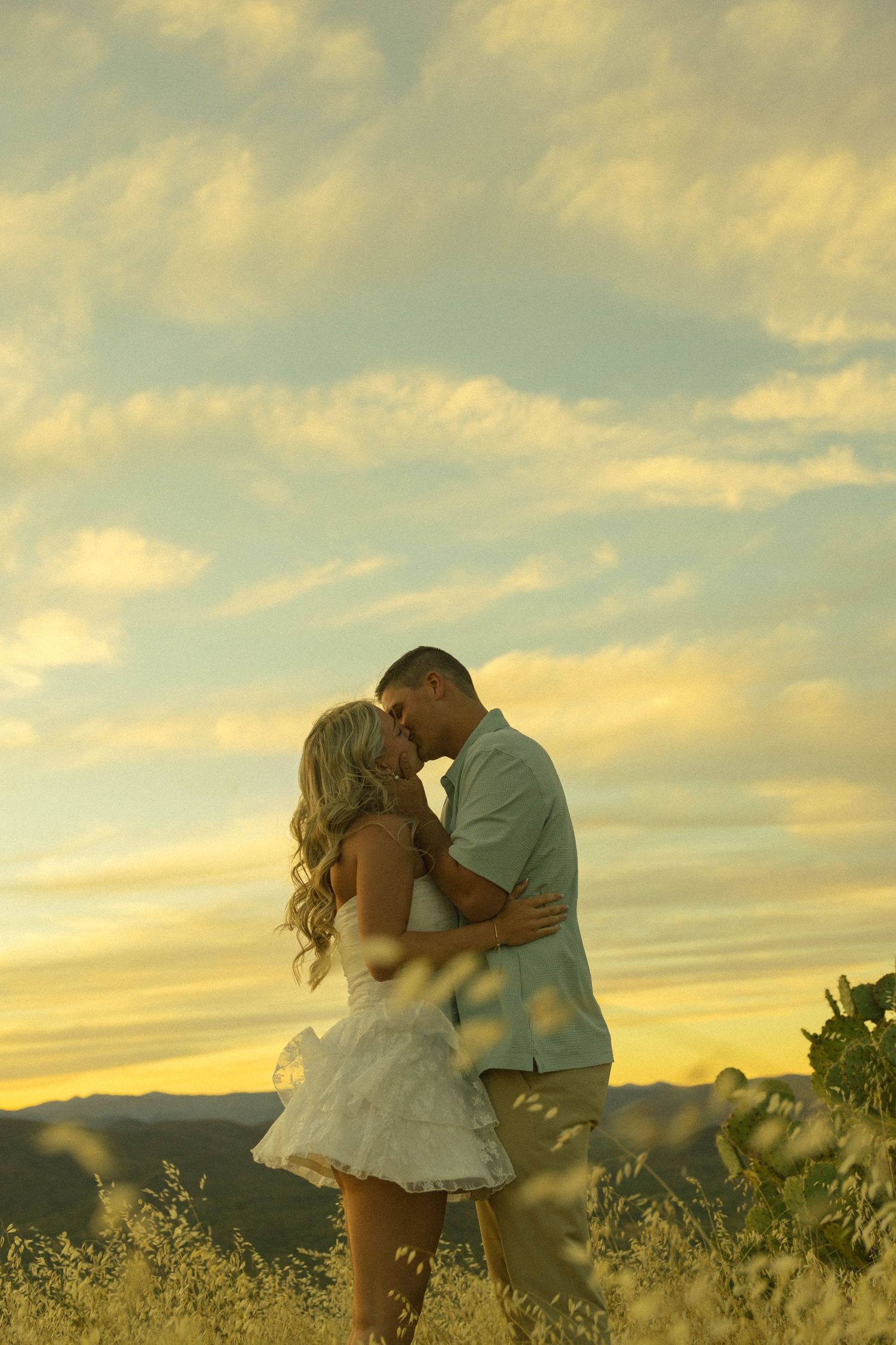 Couple sharing a romantic kiss in a golden wheat field under a dramatic sunset sky.