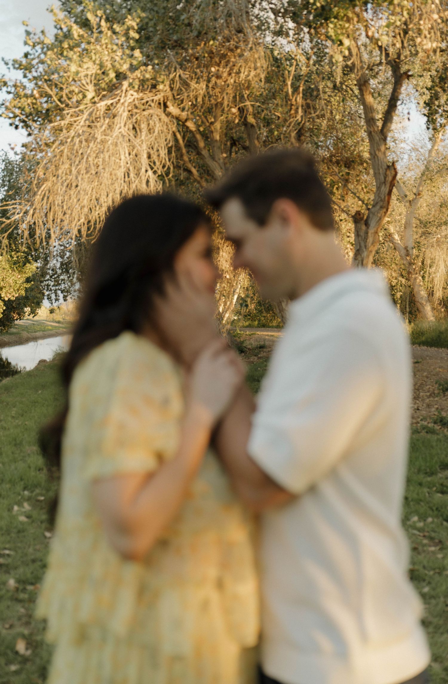 A romantic couple shares an intimate moment in a sun-drenched garden with willow trees in the background.