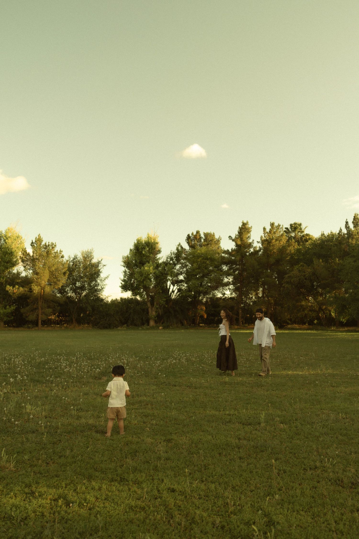 Family of three standing in a lush green park at sunset with trees in background.