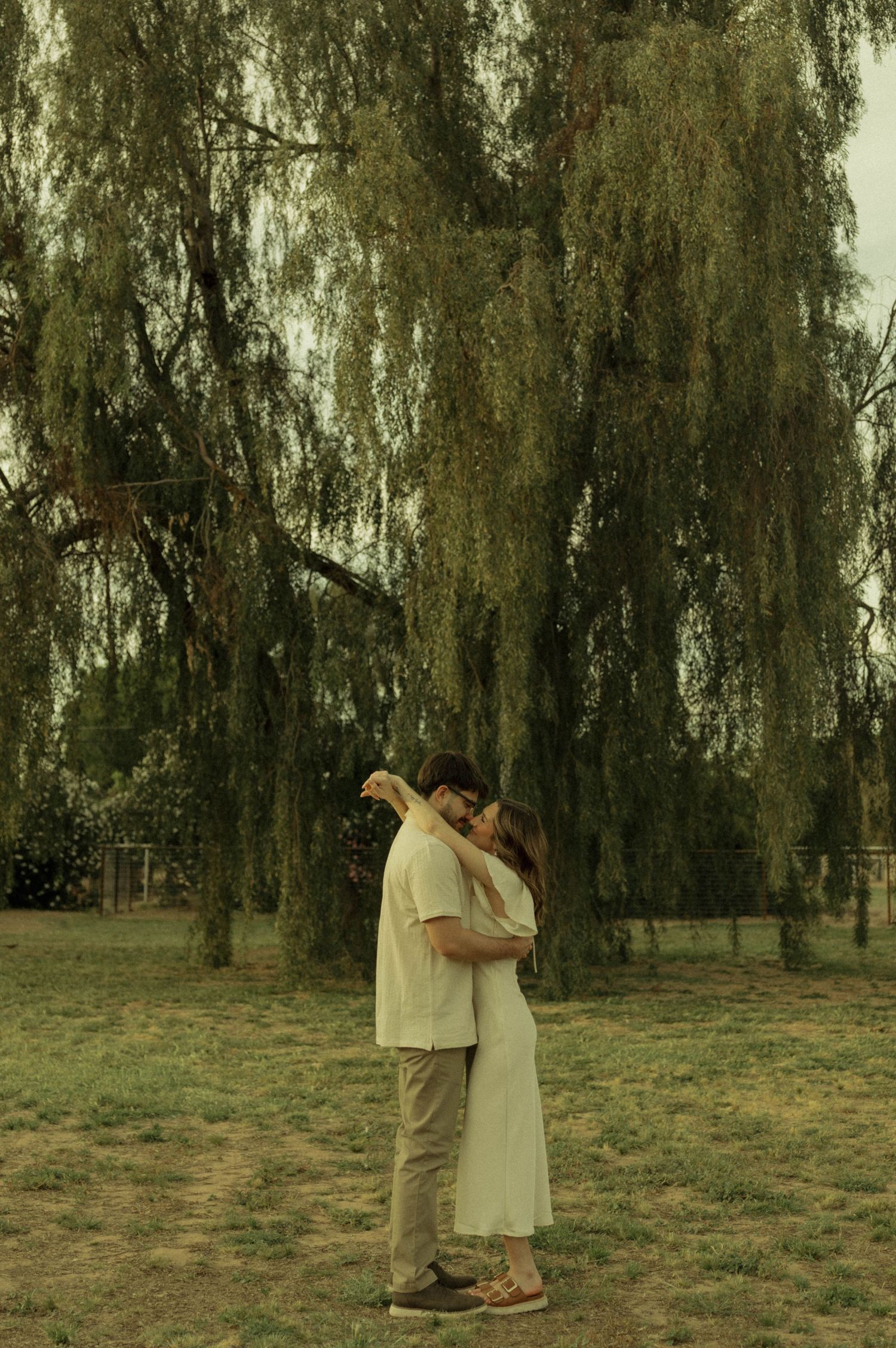 Romantic couple embracing and hugging under a weeping willow tree outdoors.
