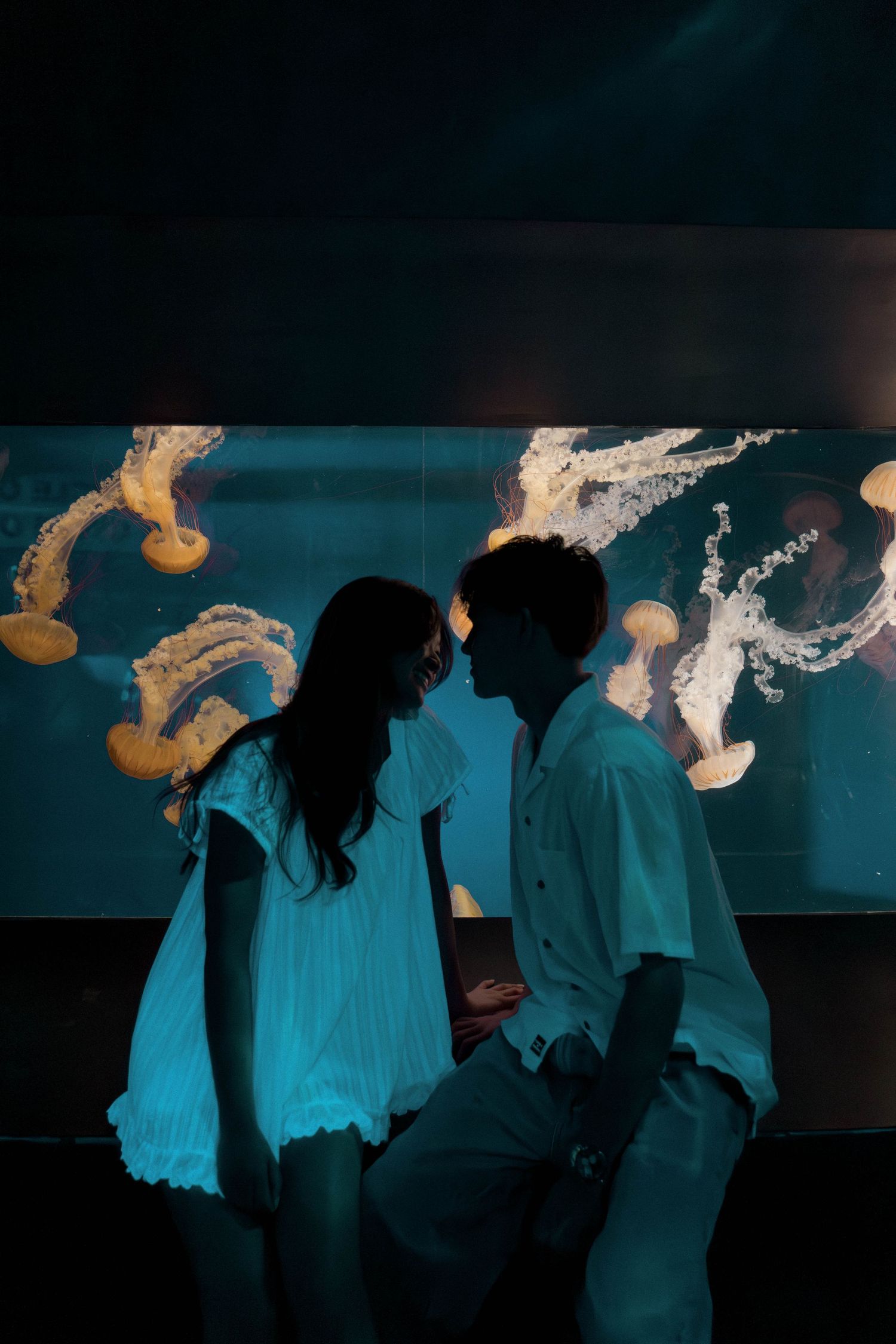 Silhouettes against a blue aquarium background with floating white jellyfish above.