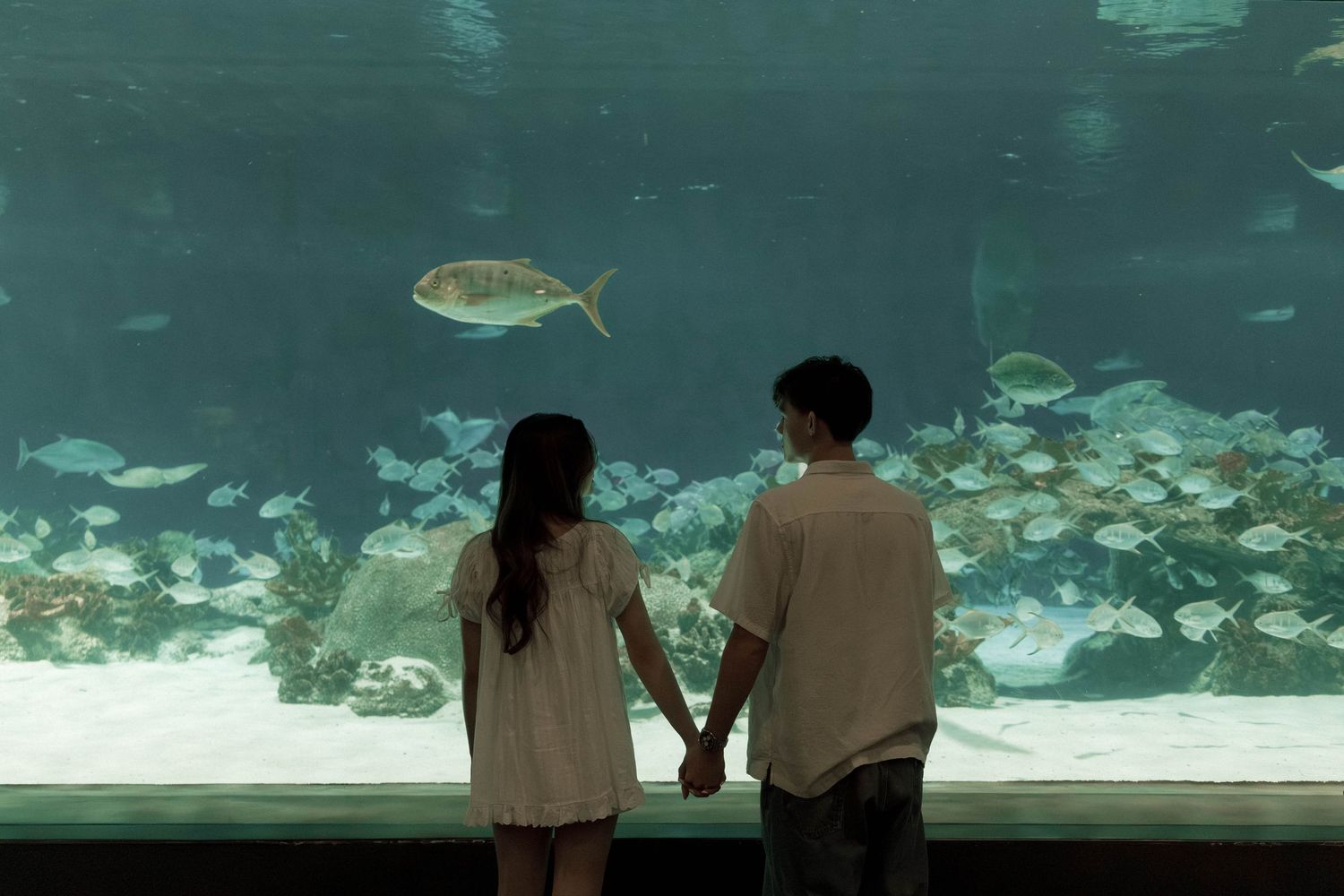 Two visitors observe colorful fish swimming in a large aquarium display at an aquarium facility.