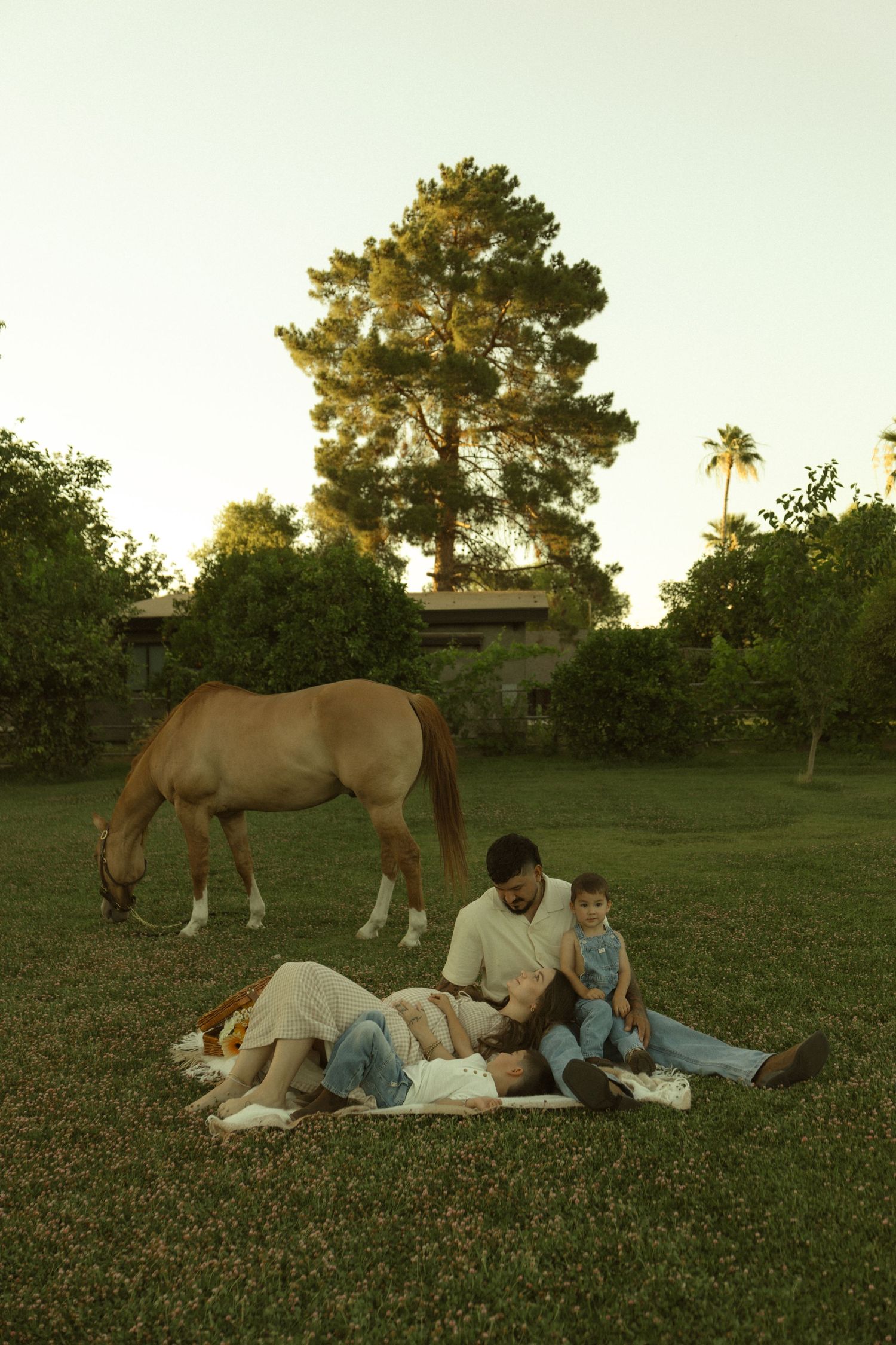 Family relaxing on grass in a lush garden with a grazing horse and trees at golden hour.