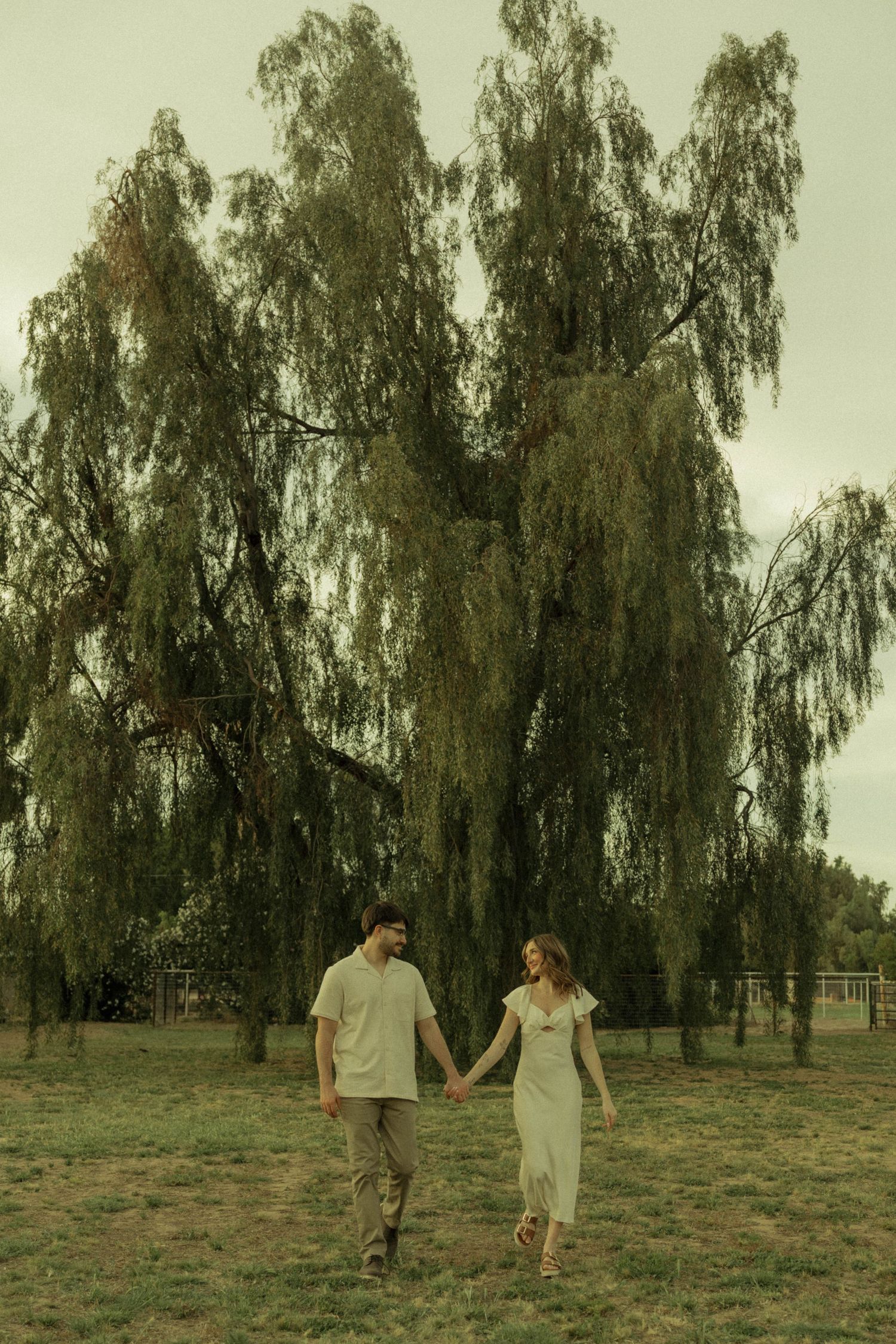 Couple holding hands and walking together in front of a large weeping willow tree.