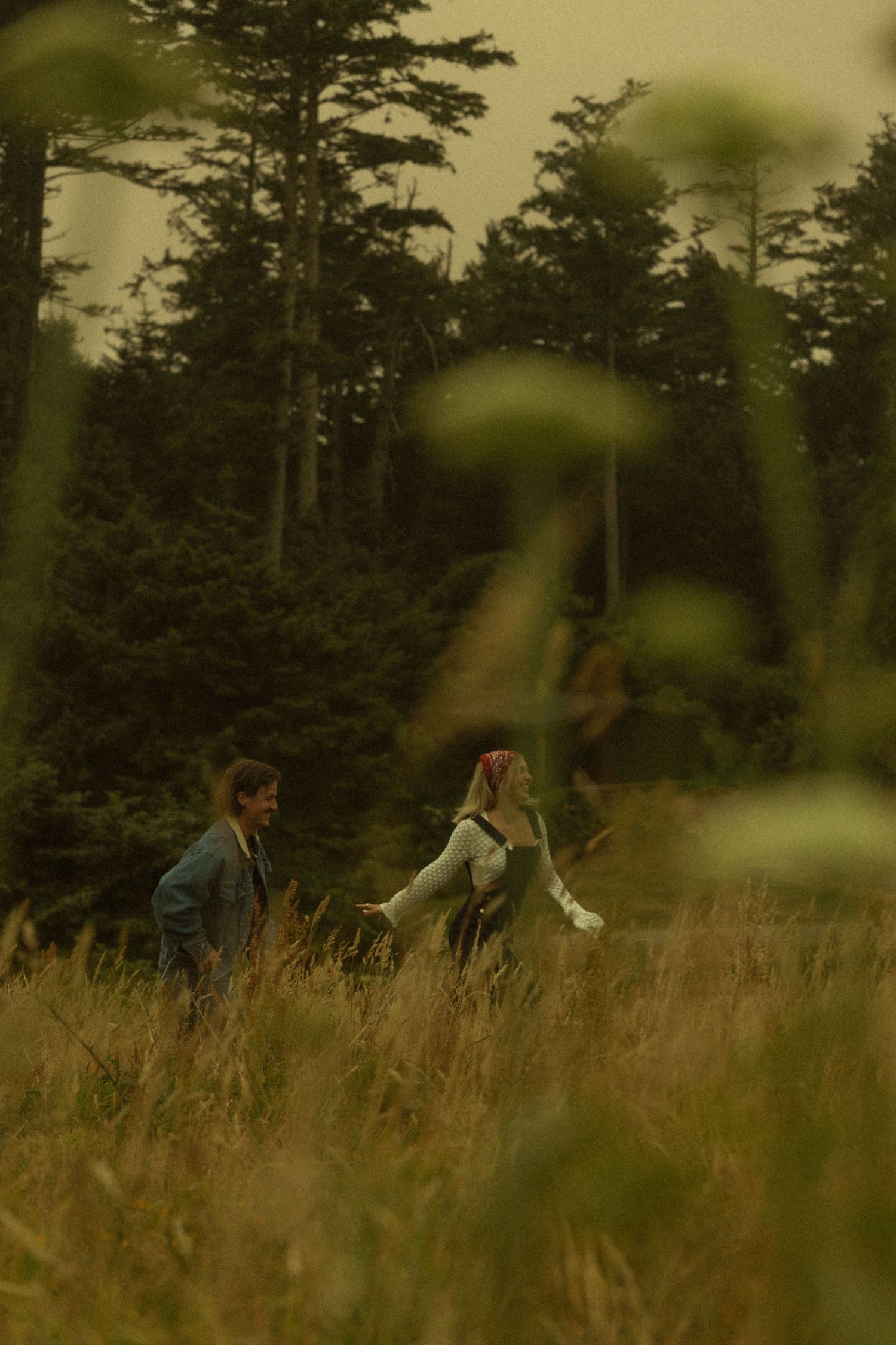 A couple walks hand in hand through golden tall grass with a lush evergreen forest behind them.