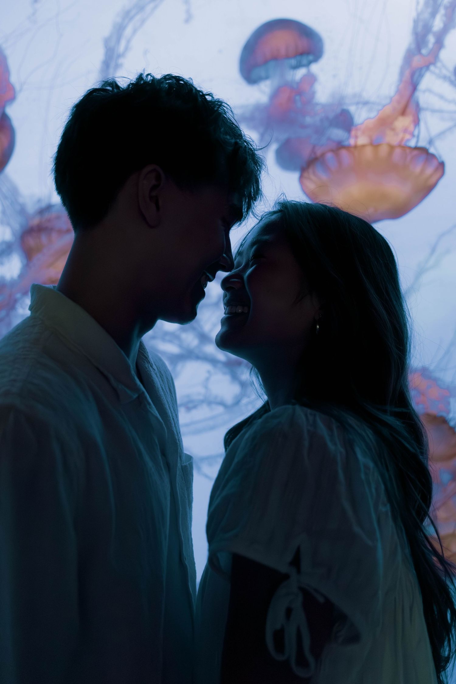 A romantic silhouette sequence of a couple sharing intimate moments against a blurred background.