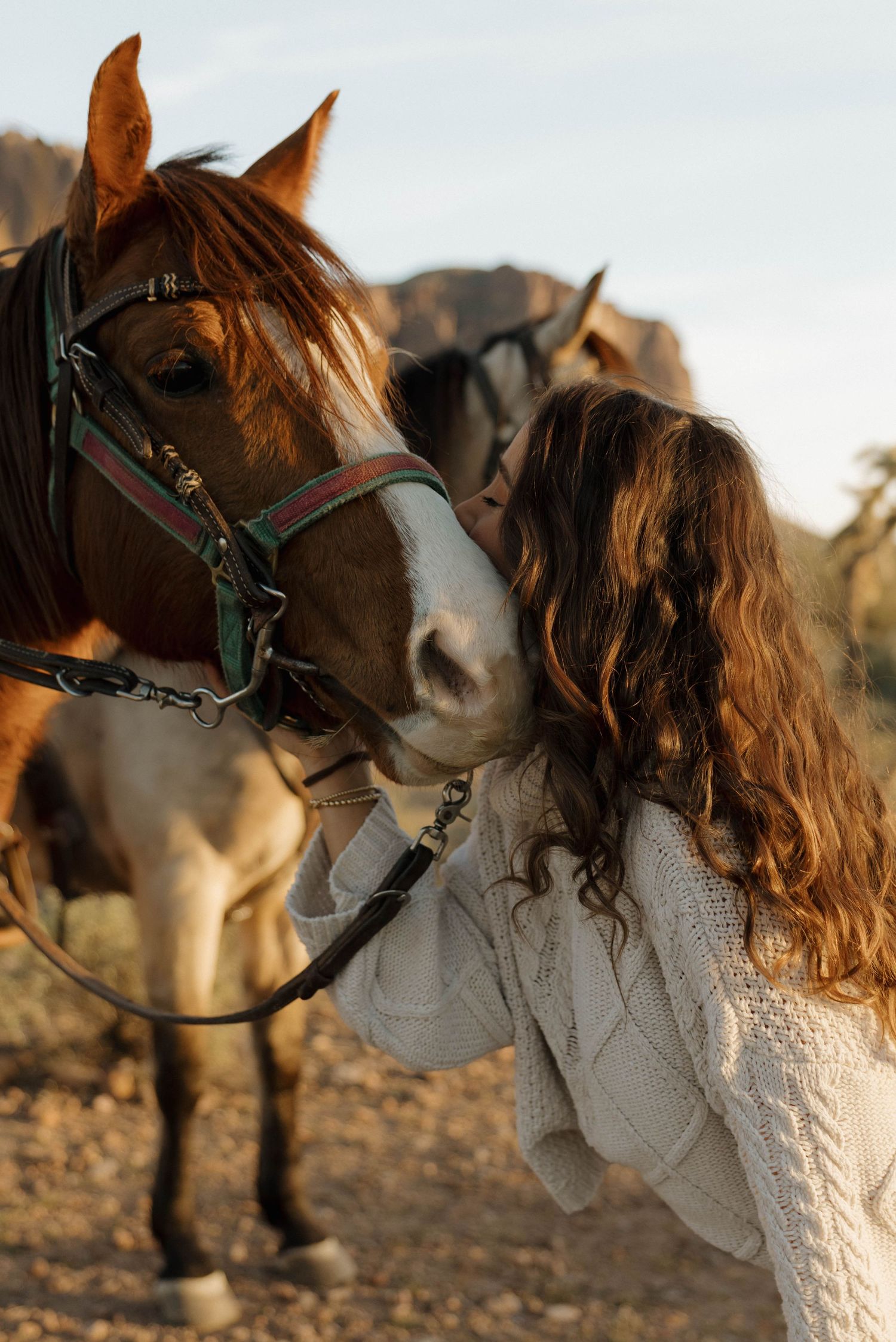 A beautiful brown horse with bridle receives affection at sunset in a mountainous landscape.