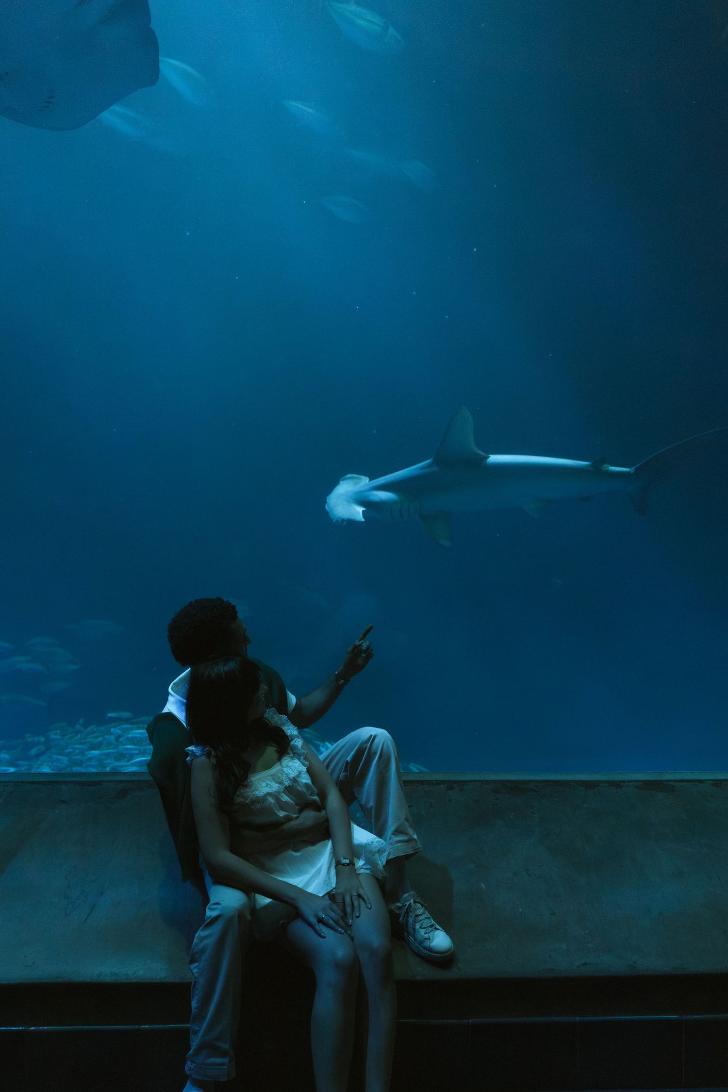 Couple sitting together at an aquarium tank watching a shark swim by in blue-lit water.