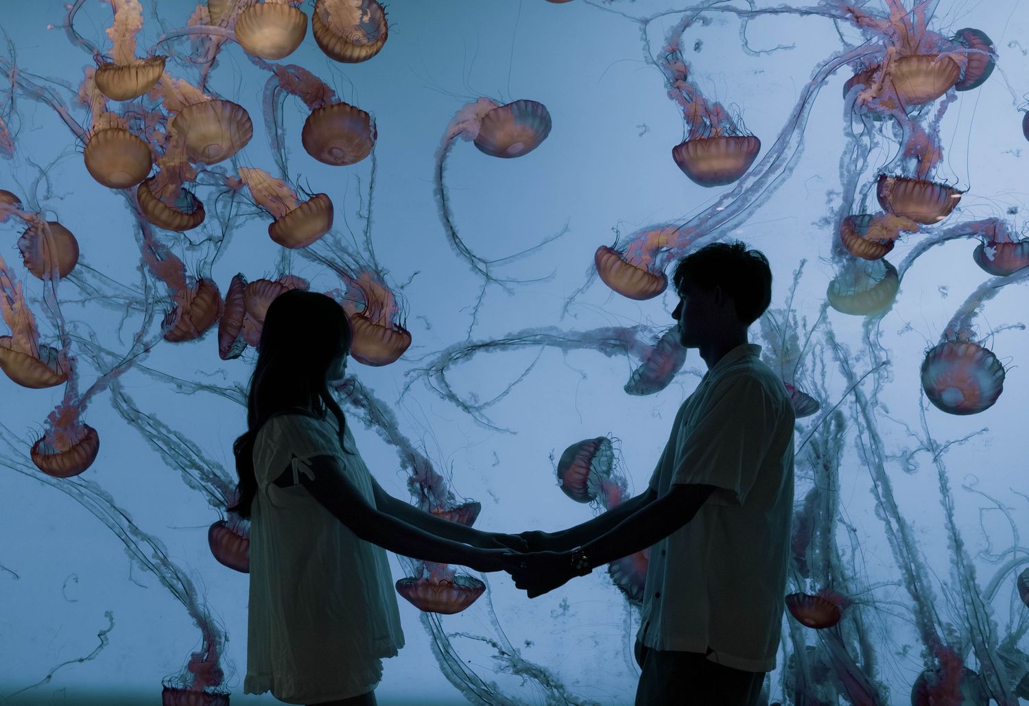 Dark silhouettes of people reaching up towards glowing orange jellyfish in an aquarium display.