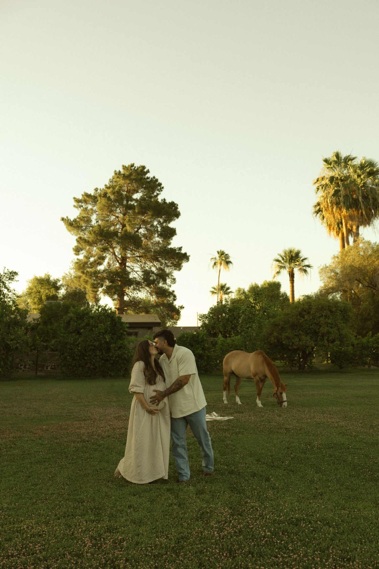 Pregnant couple sharing a kiss in a lush green field with a grazing horse and palm trees at golden hour.