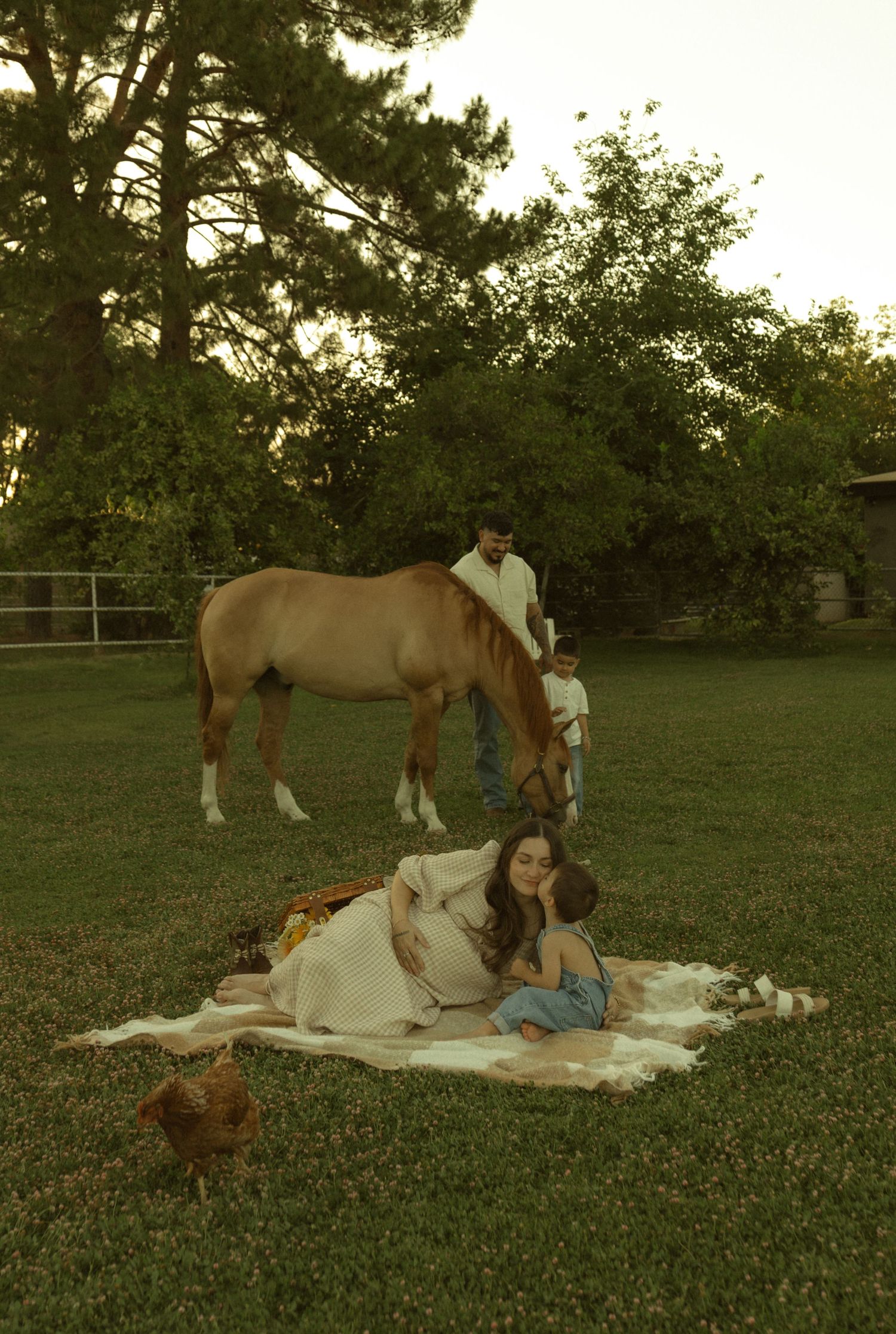 Pregnant woman reclining on a blanket with child as man holds a palomino horse nearby on a green lawn.