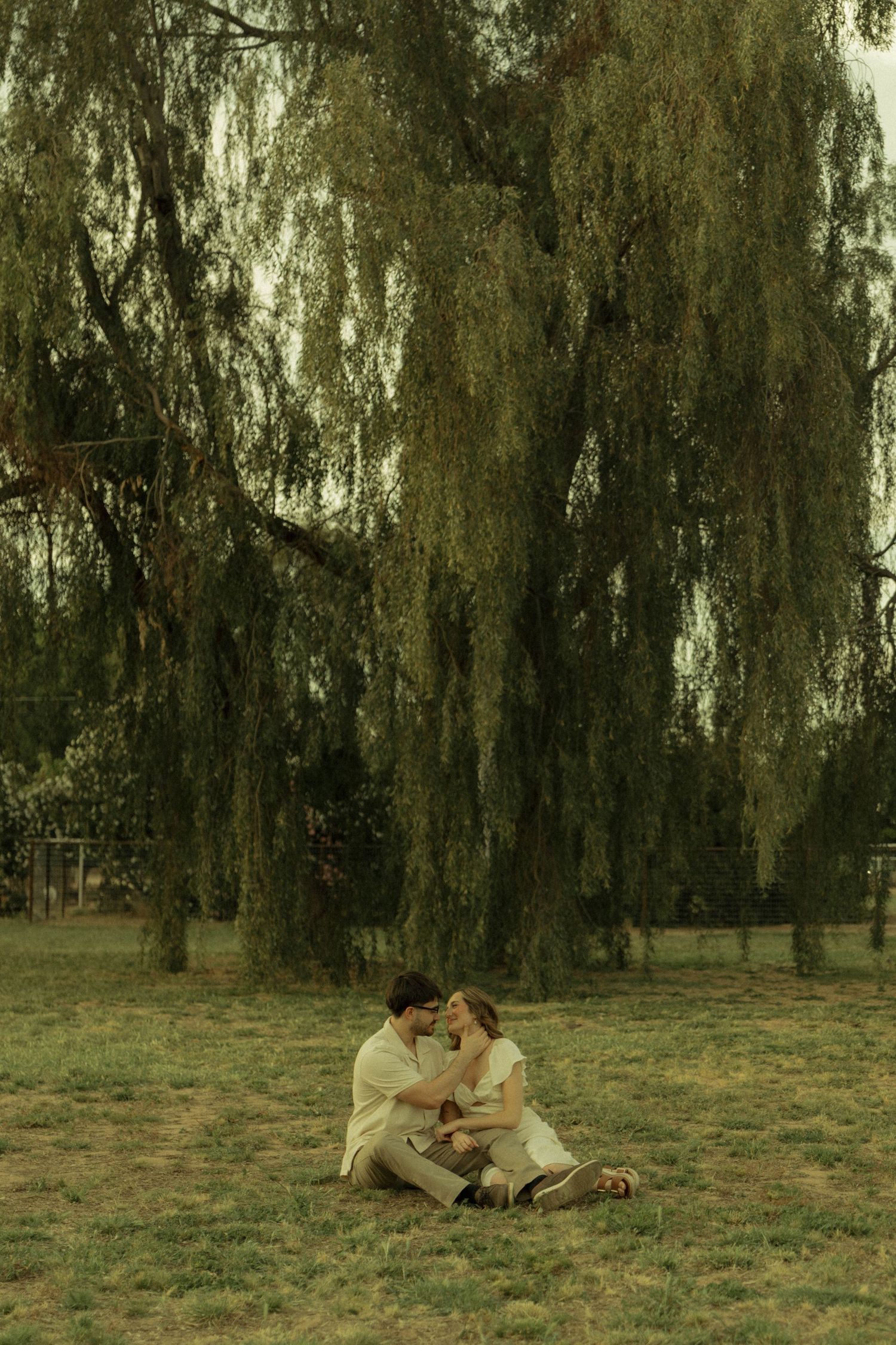 Romantic couple sitting together on grass beneath a large weeping willow tree in a serene outdoor setting.