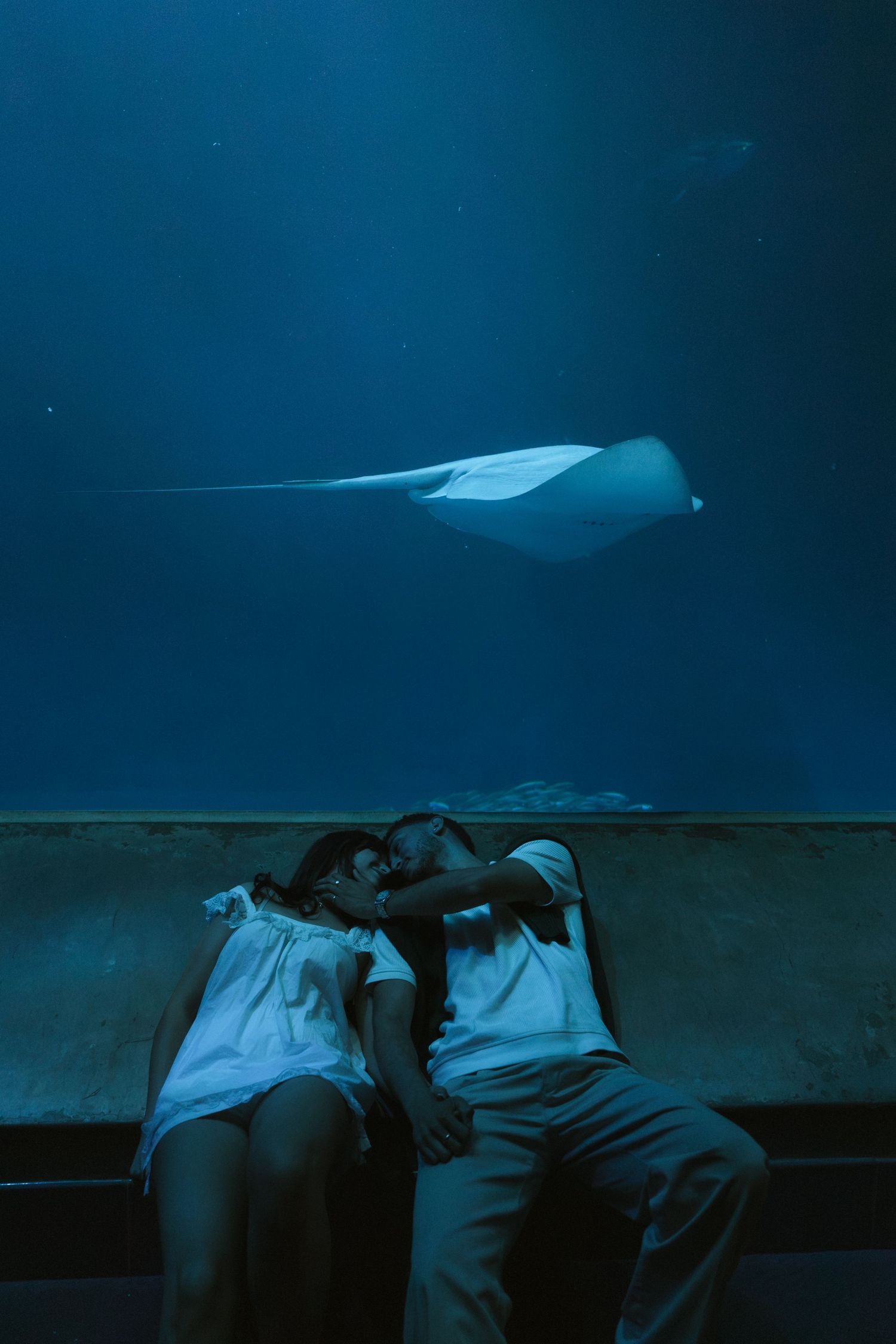 Couple sitting together in front of a large aquarium tank with a manta ray swimming overhead.