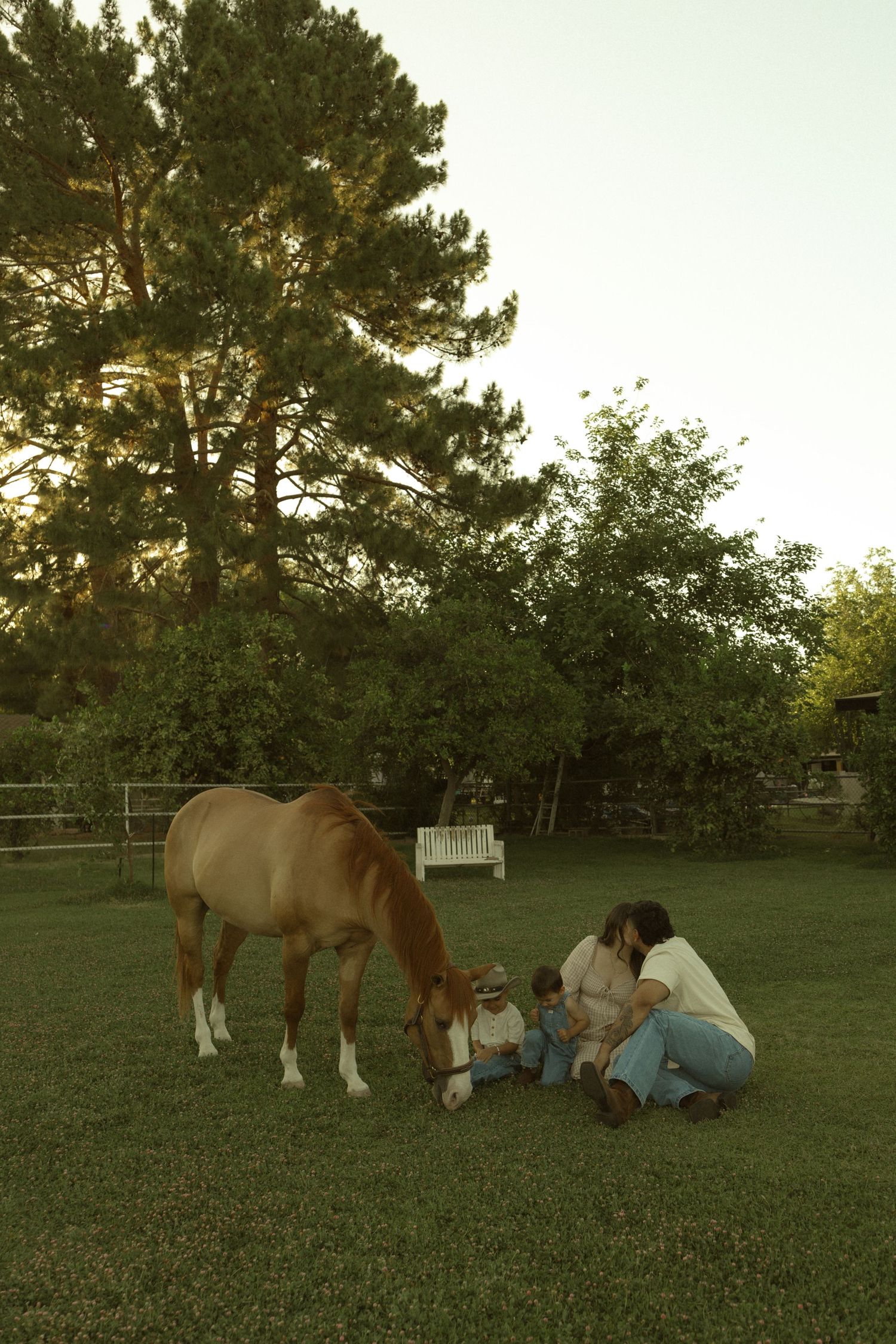 Family sitting on grass with a chestnut horse grazing nearby at golden hour on a farm.