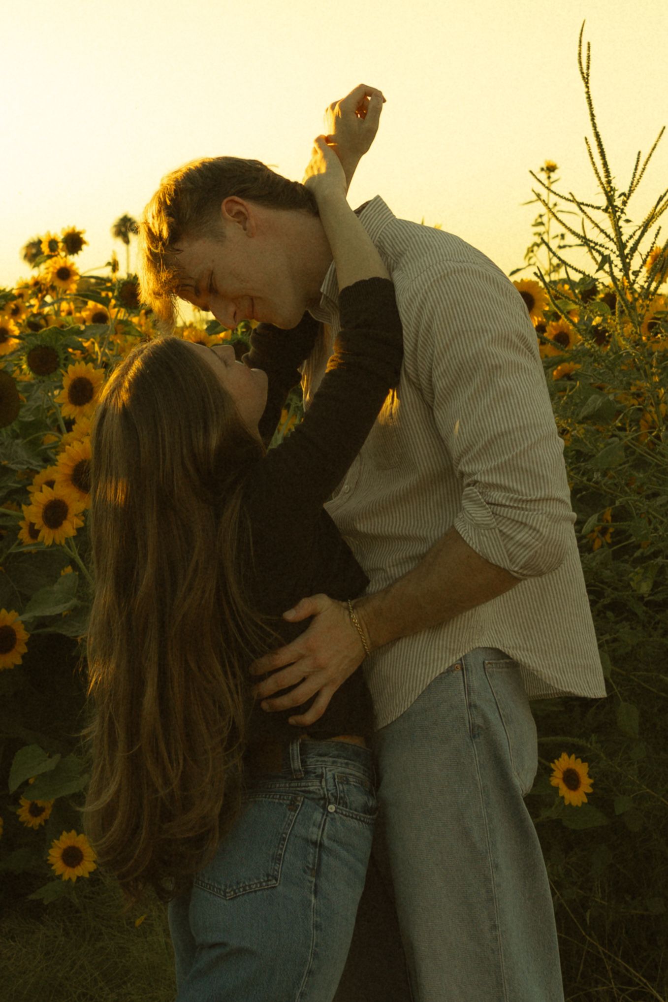 Couple embracing romantically in a sunflower field at golden hour sunset, sharing a tender moment.