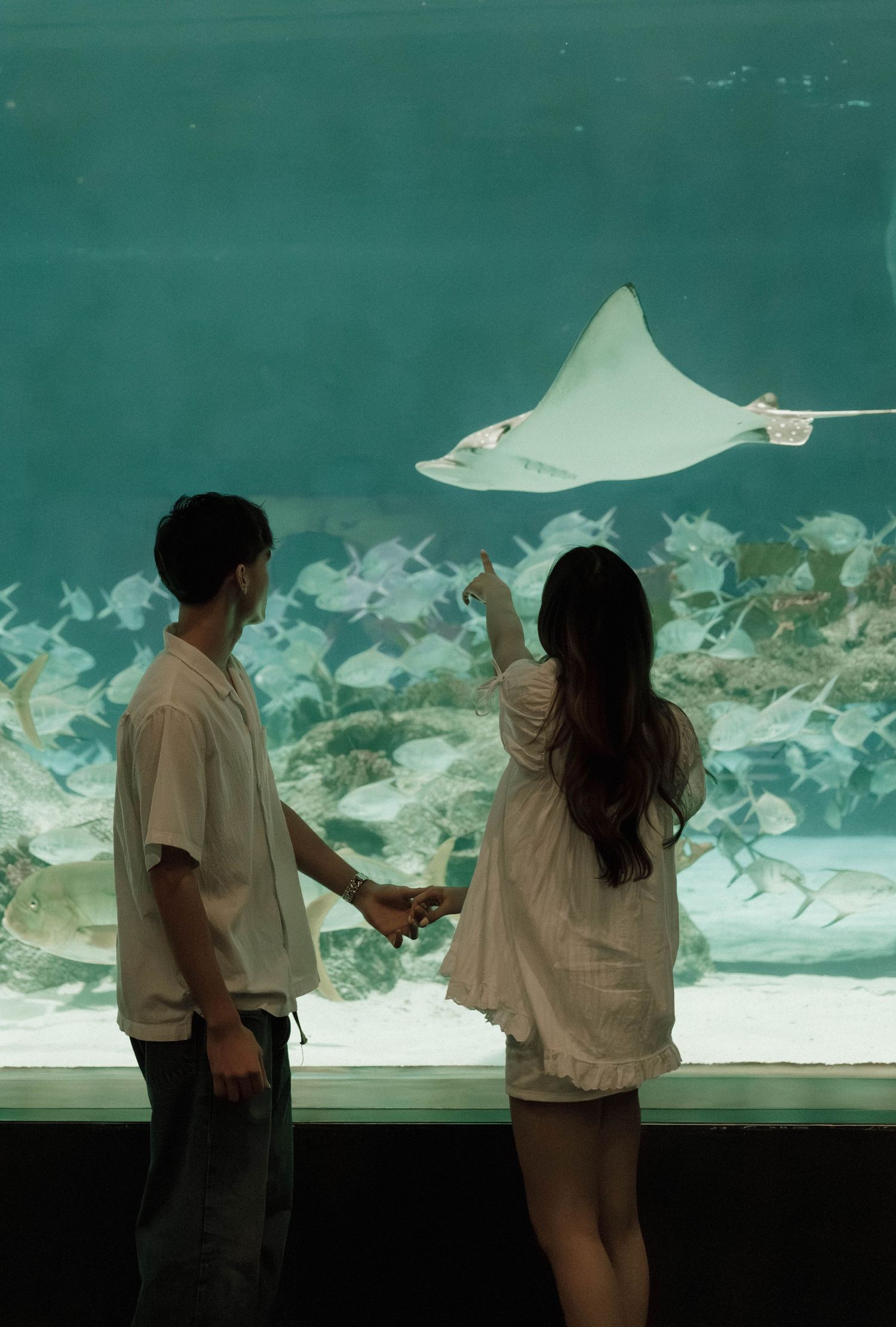A couple watches a stingray glide past in a large aquarium exhibit with turquoise lighting.