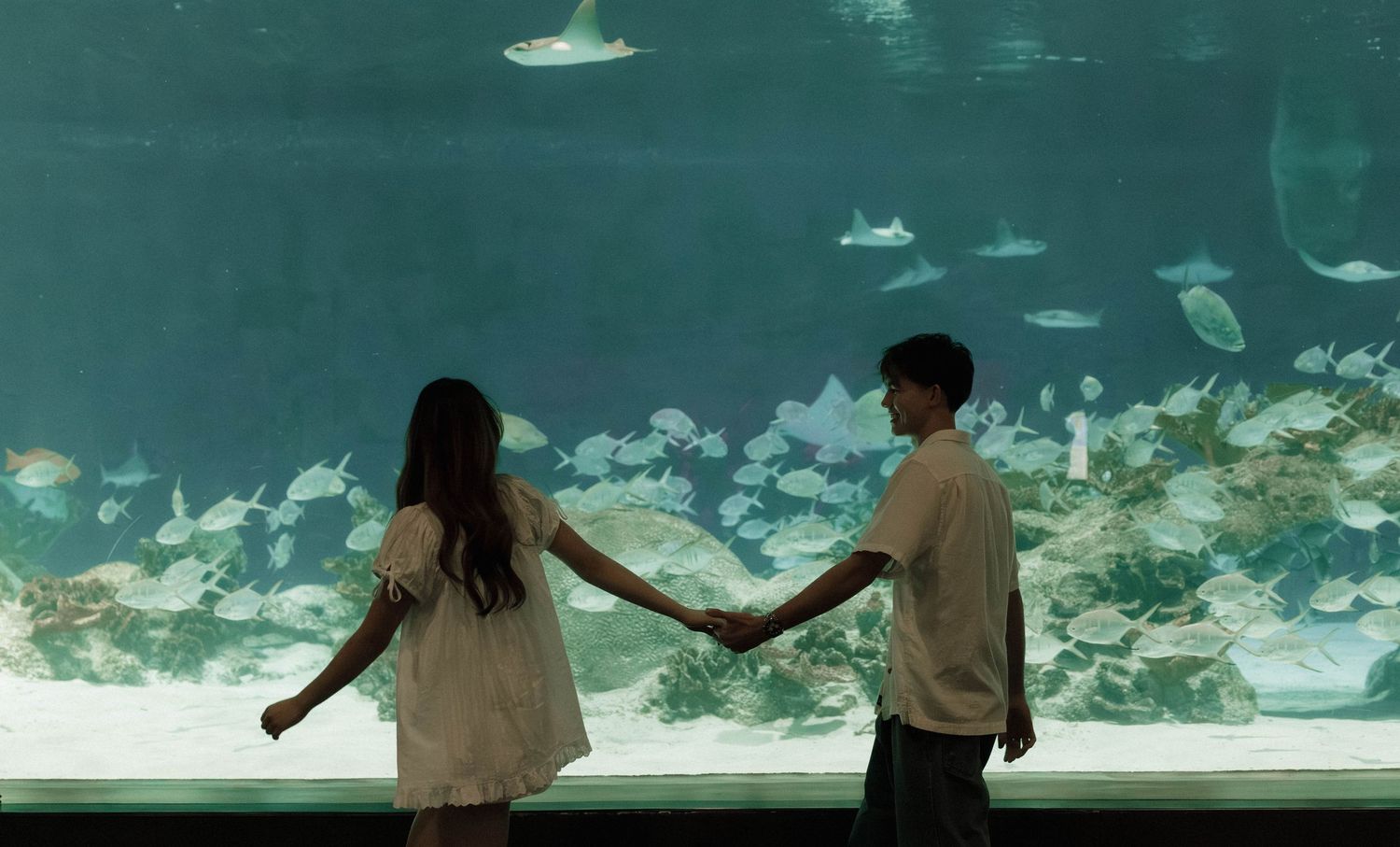 Silhouettes of people admiring marine life through large glass panels at an aquarium exhibit.