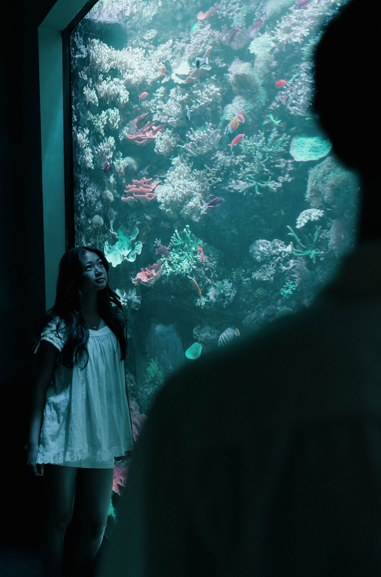 Visitors watch coral and fish in a dimly lit aquarium exhibit.