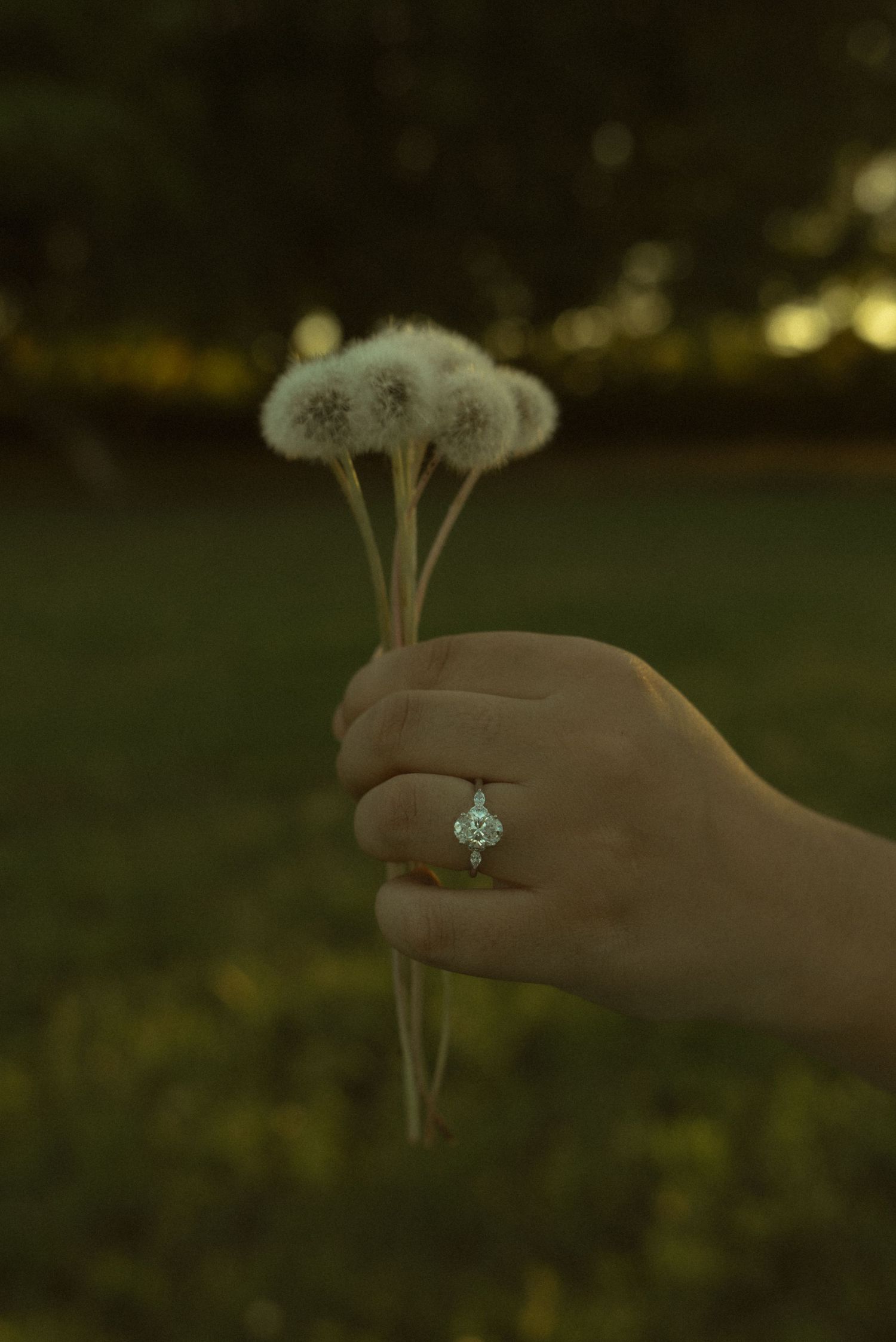 A hand holds dandelion seed heads while wearing a sparkling diamond engagement ring outdoors at dusk.