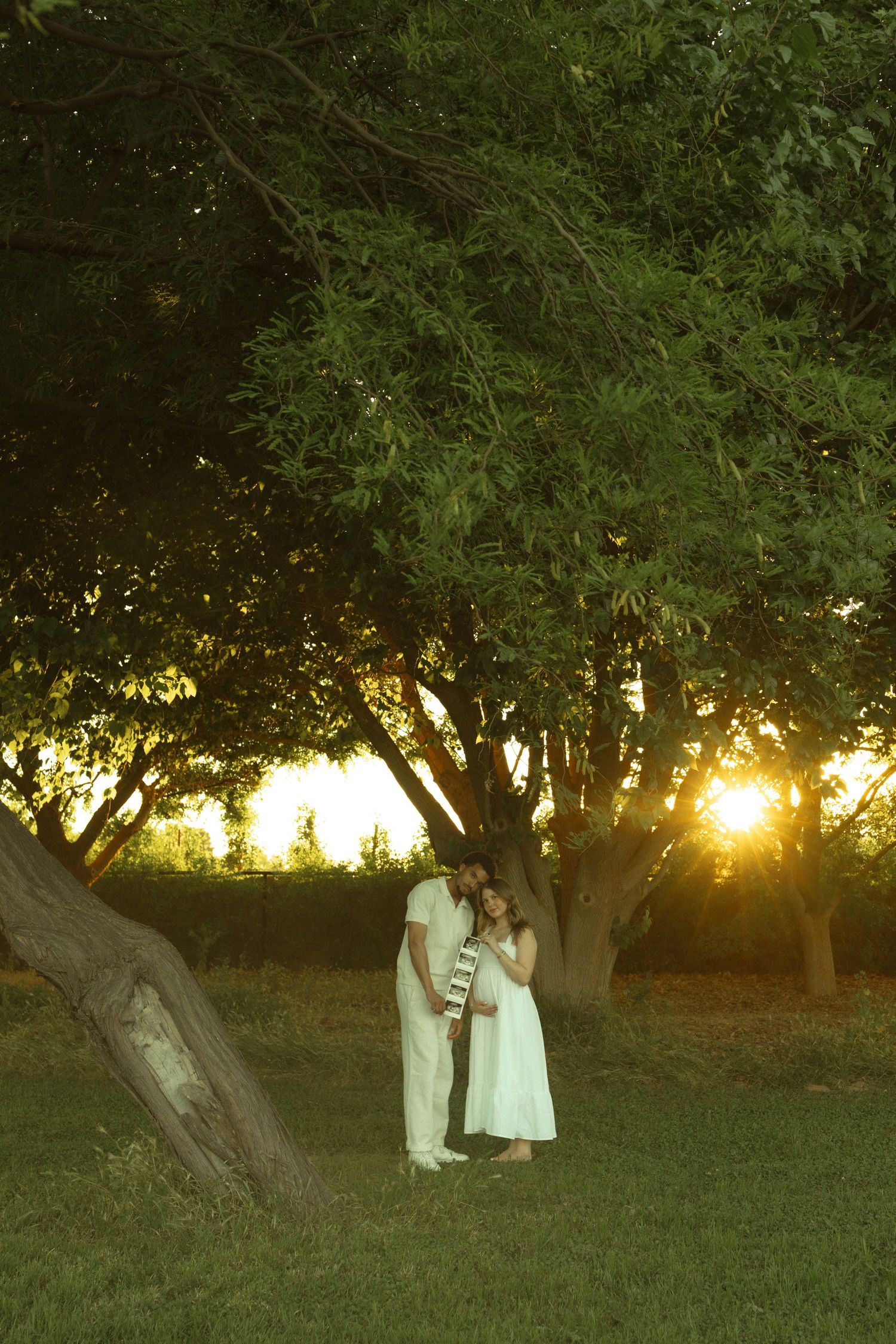 Romantic couple embracing under a large tree in a park during a warm golden sunset.