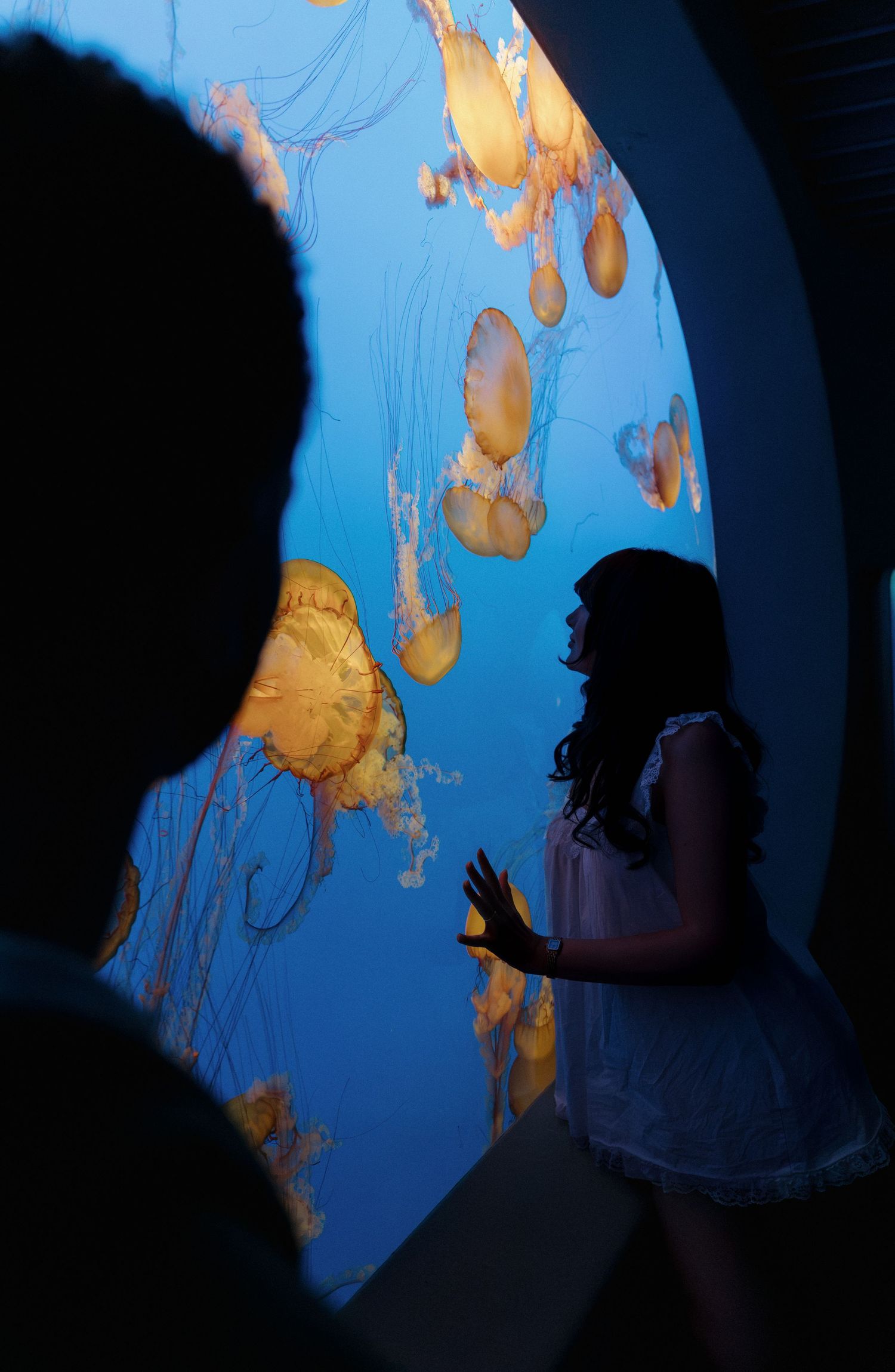 Silhouettes of visitors watching glowing golden jellyfish in a large blue aquarium tank display.