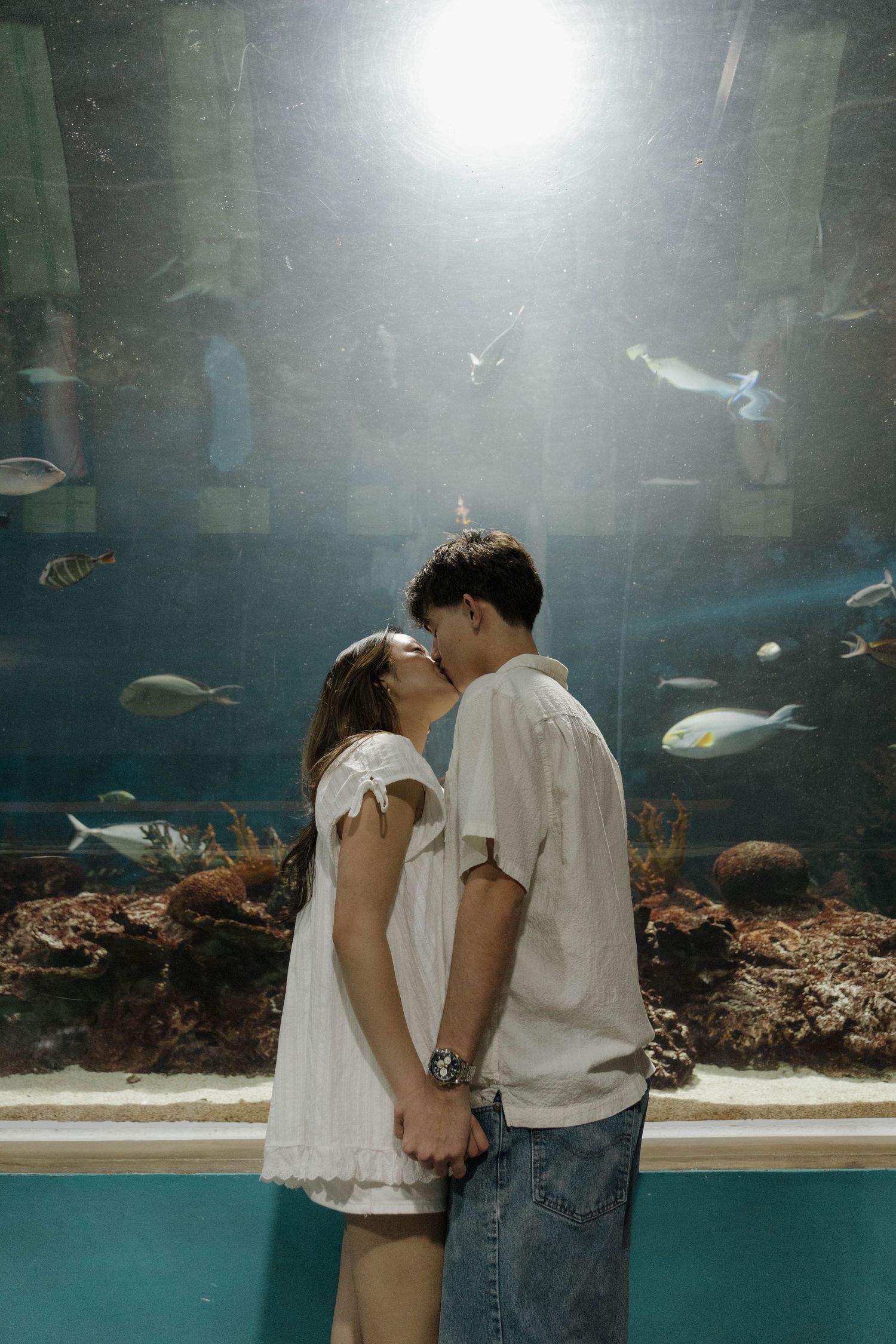 A romantic sequence at an aquarium showing a couple viewing fish tanks and sharing tender moments.