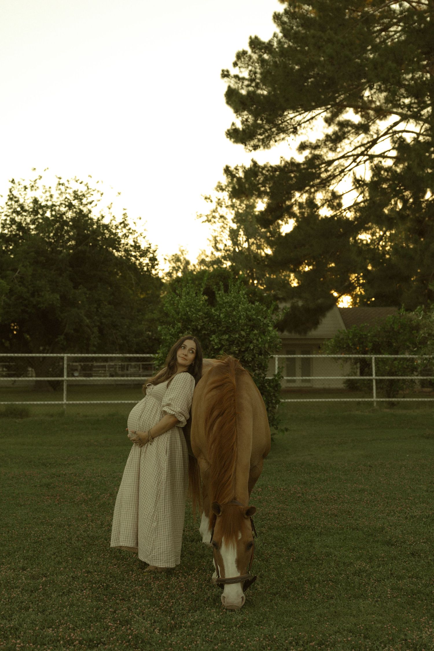 Pregnant woman in cream dress stands beside a chestnut horse at golden hour in a lush green paddock.