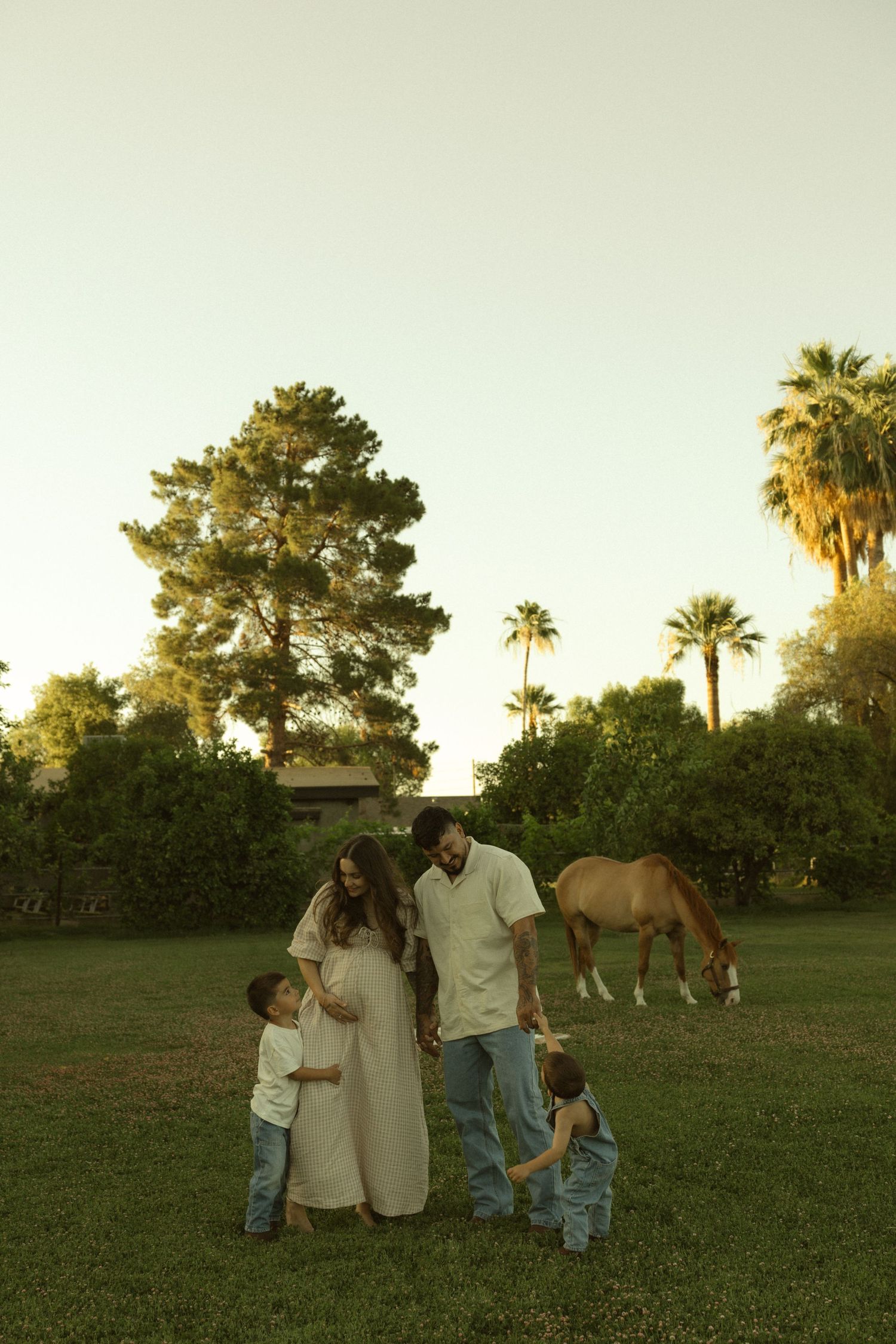 Pregnant woman in white dress with family and two young boys on green lawn with horse grazing at golden hour.