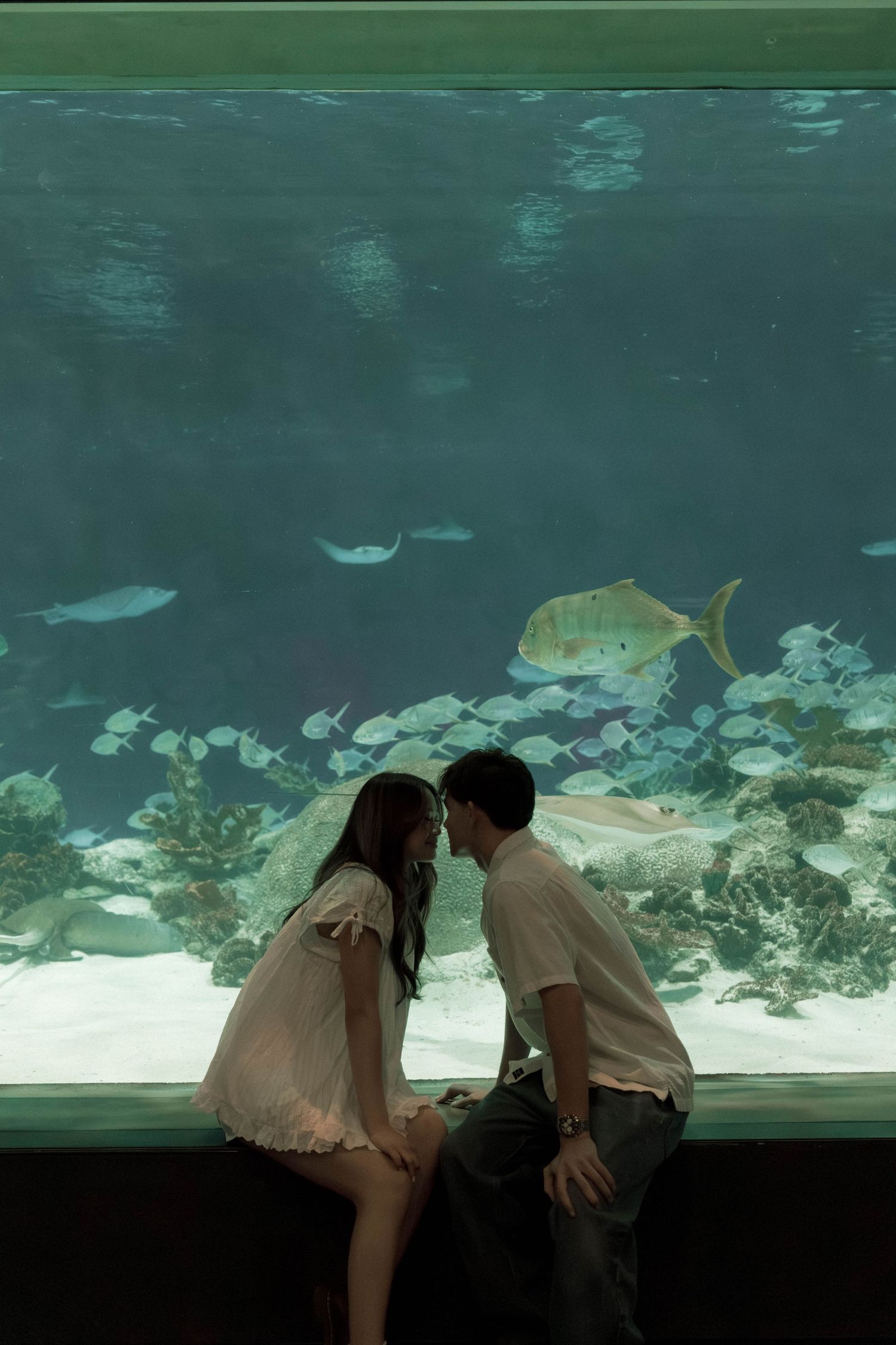 Couple leans against aquarium glass viewing underwater marine life.