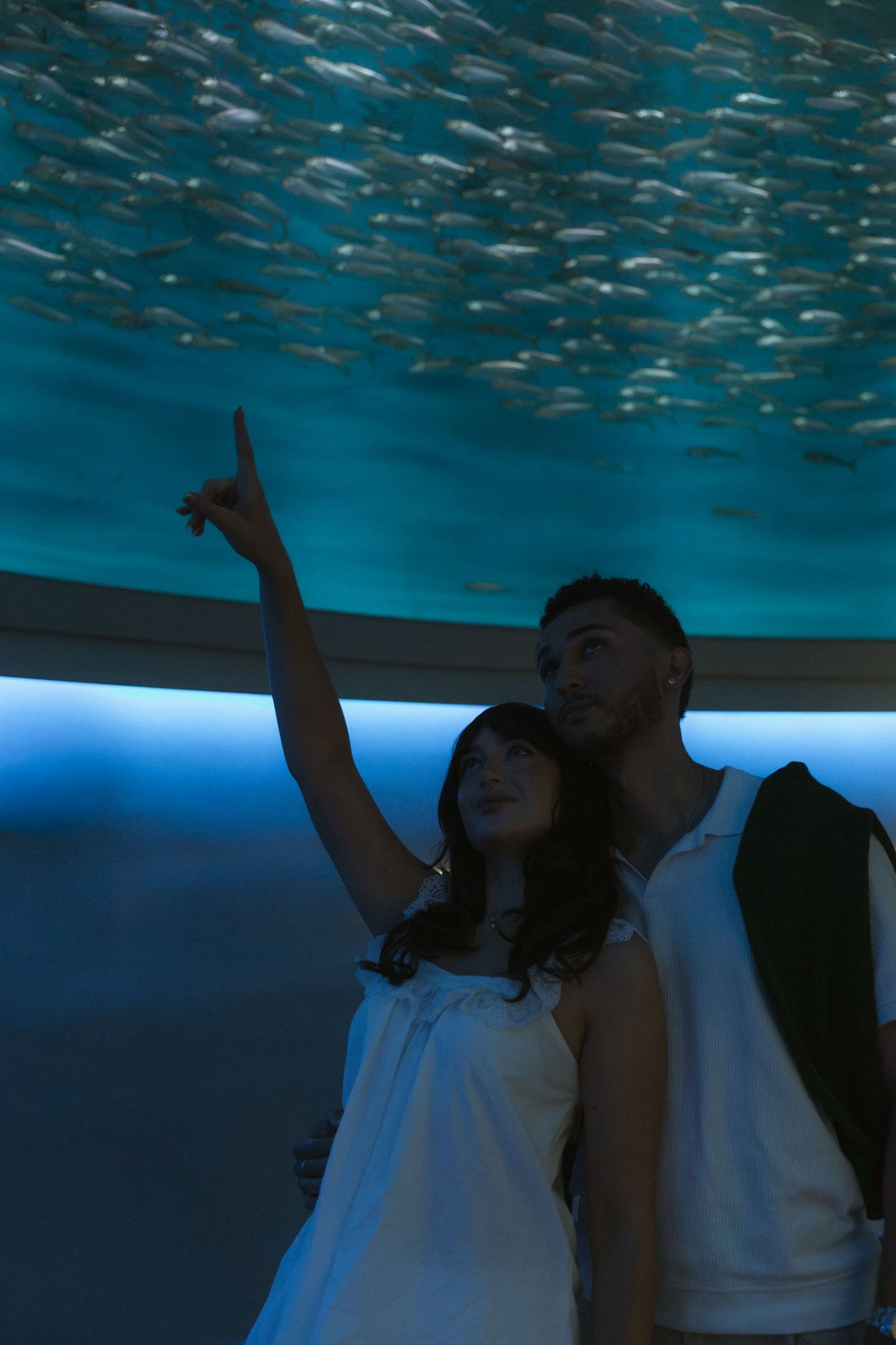 Couple gazing up at a large aquarium tank filled with fish, woman pointing excitedly in blue-lit exhibit.