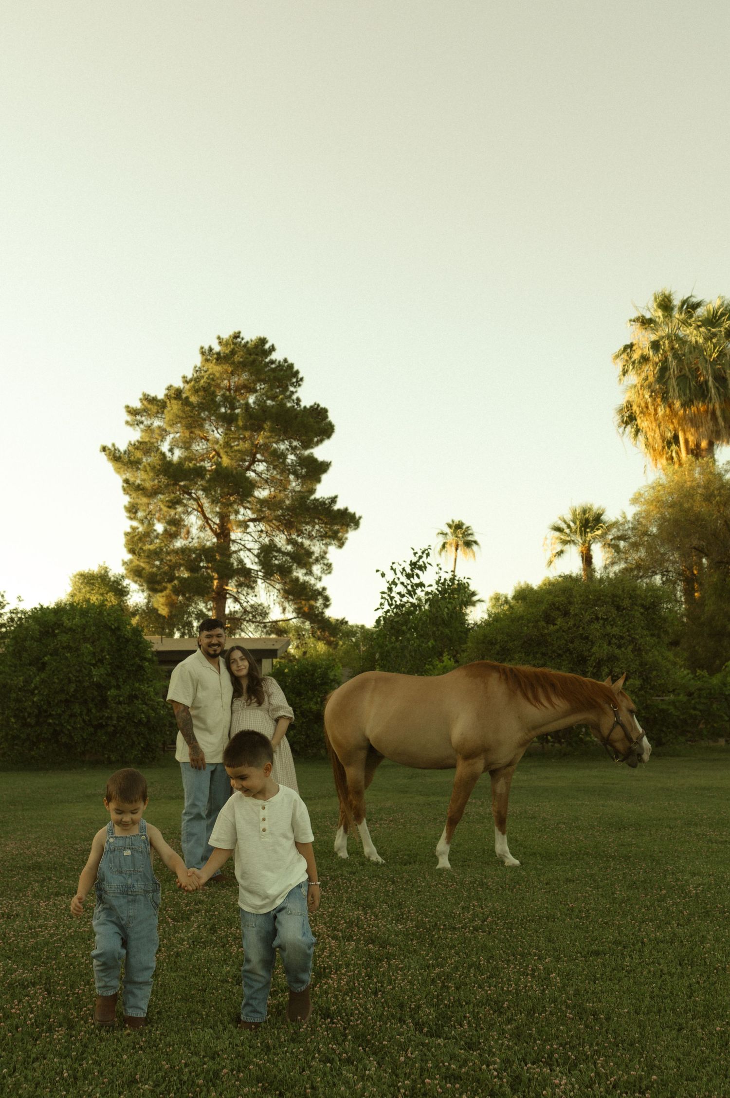 Family with two young boys holding hands on a green lawn with a brown horse grazing nearby and palm trees.