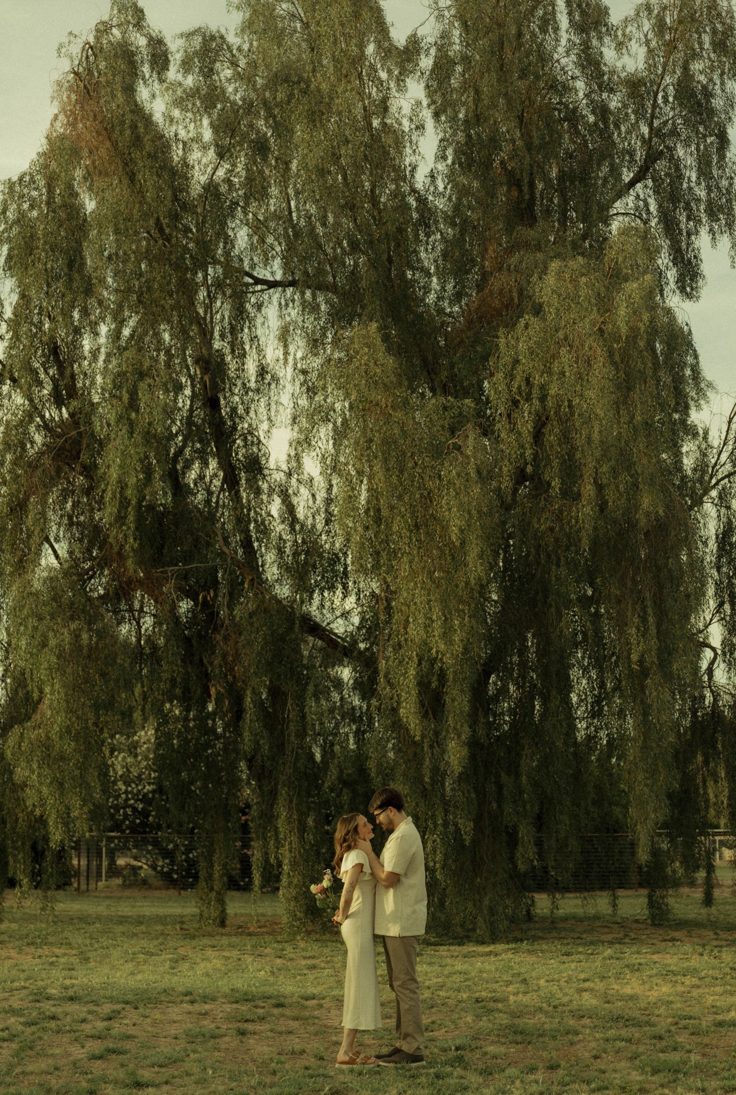 Couple standing face to face under a large weeping willow tree in a green field.