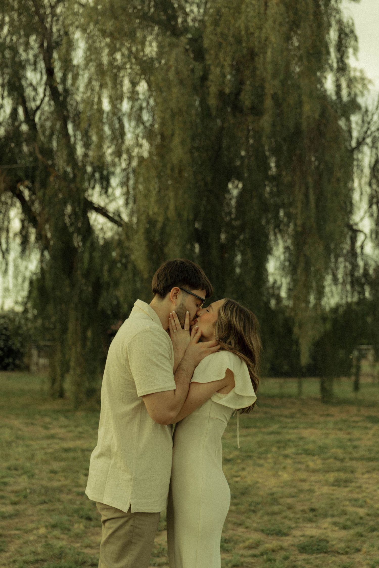 Couple sharing a tender kiss embracing under a weeping willow tree in a park.