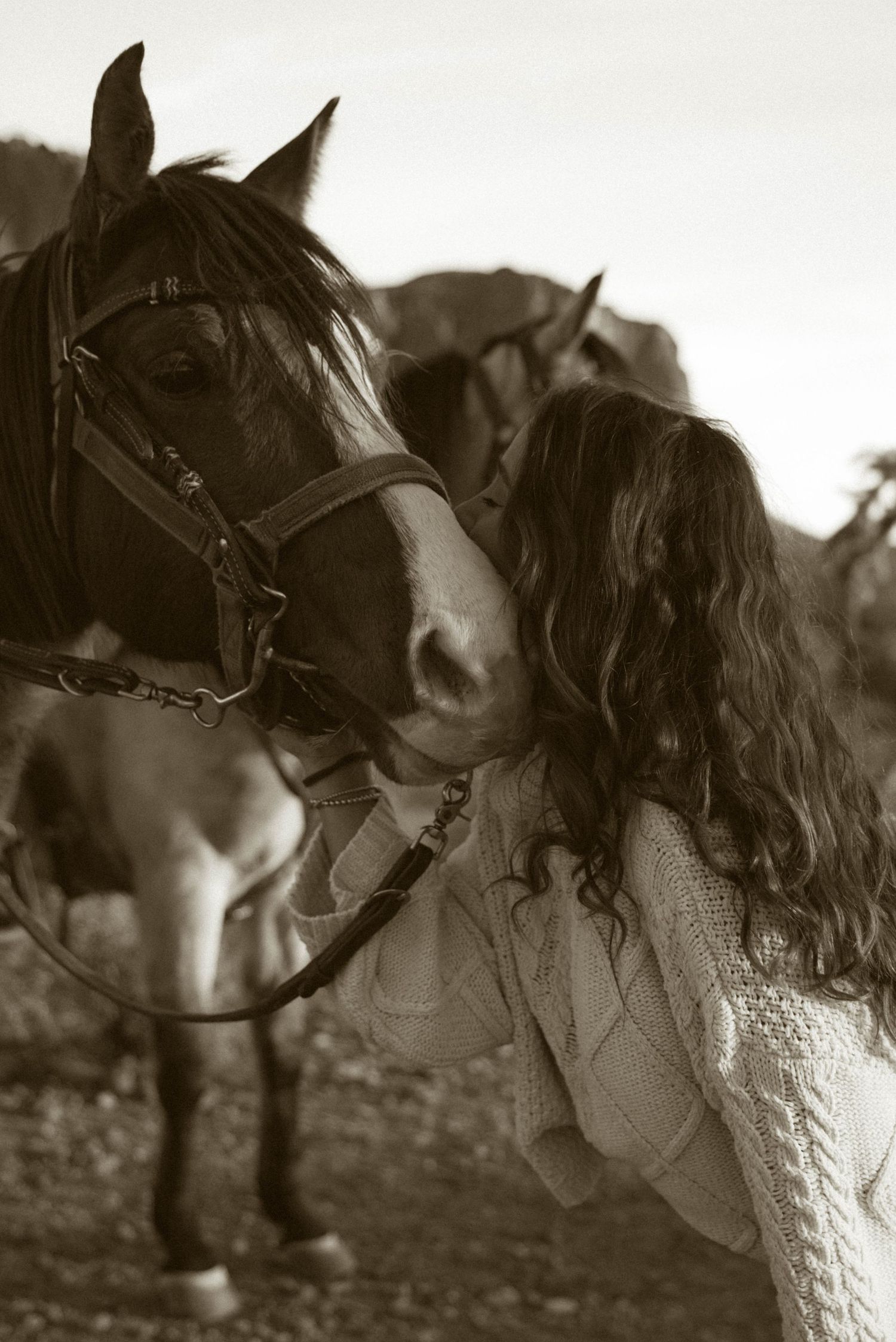 A series of black and white artistic photographs showing a horse's head and mane in different angles.
