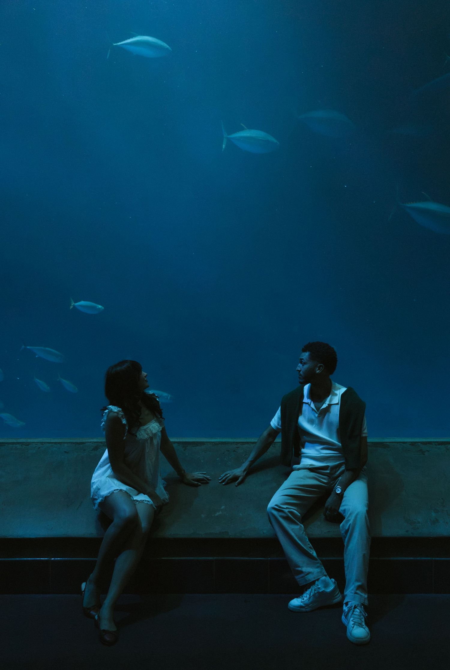 A couple sits on a bench in front of a large aquarium tank with fish swimming above them.